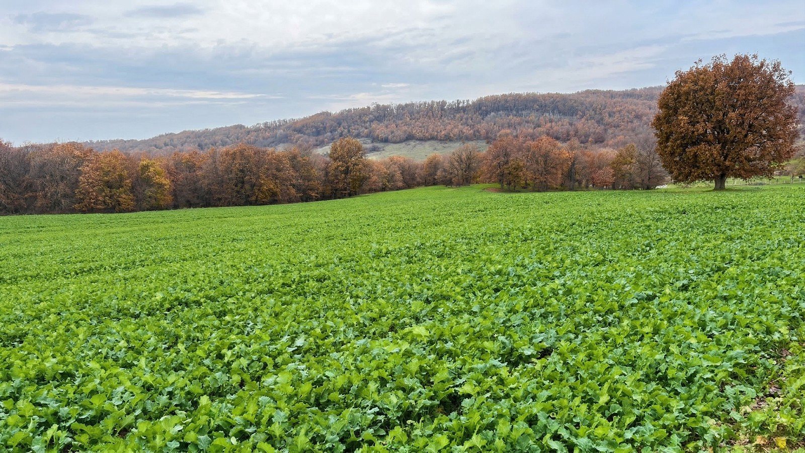 Cargill 1000 Farmers Endless Prosperity Program