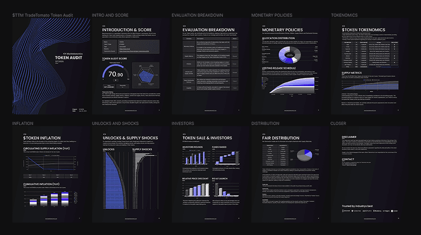 Tokenomics Audit