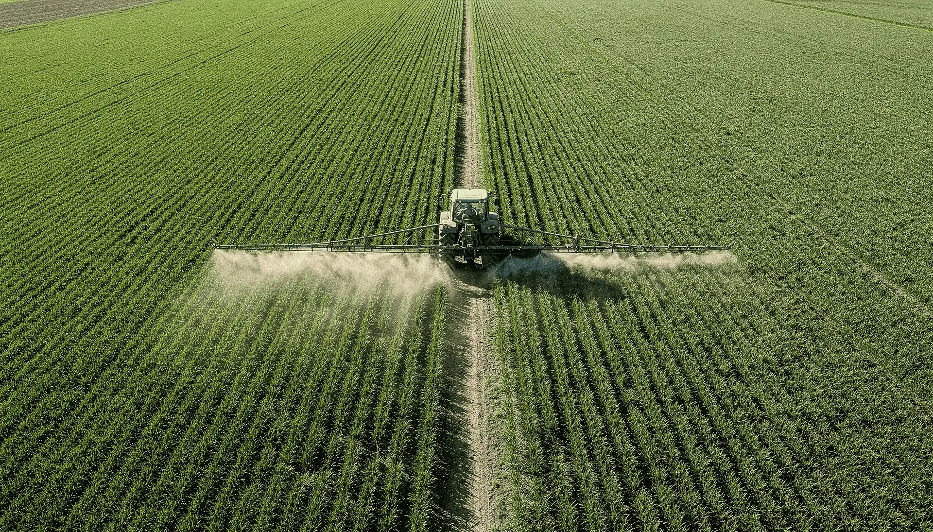 Aerial view of a sprayer tractor moving along a dirt track, applying inputs to a vast green plantation with vertically aligned rows.