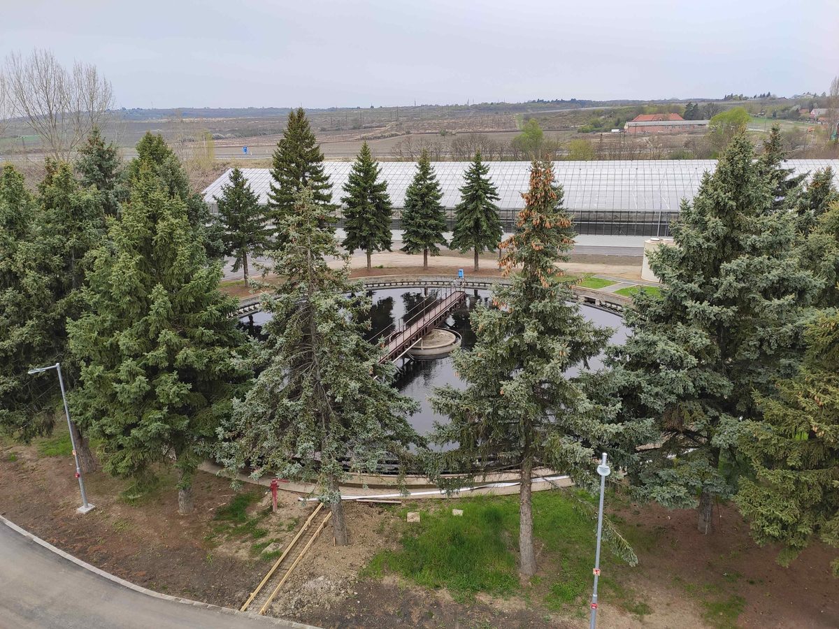 Circular clarifier among conifers at the Eger municipal wastewater treatment plant, Hungary