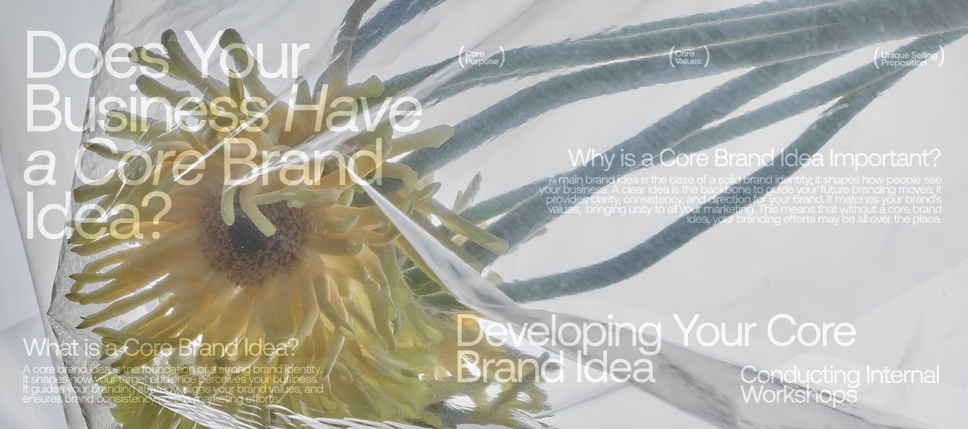Brand Challenges at Different Growth Stages of Business Growth