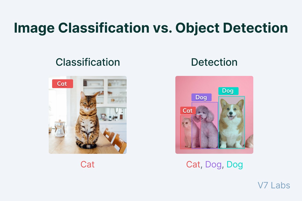 Image classification vs Object detection