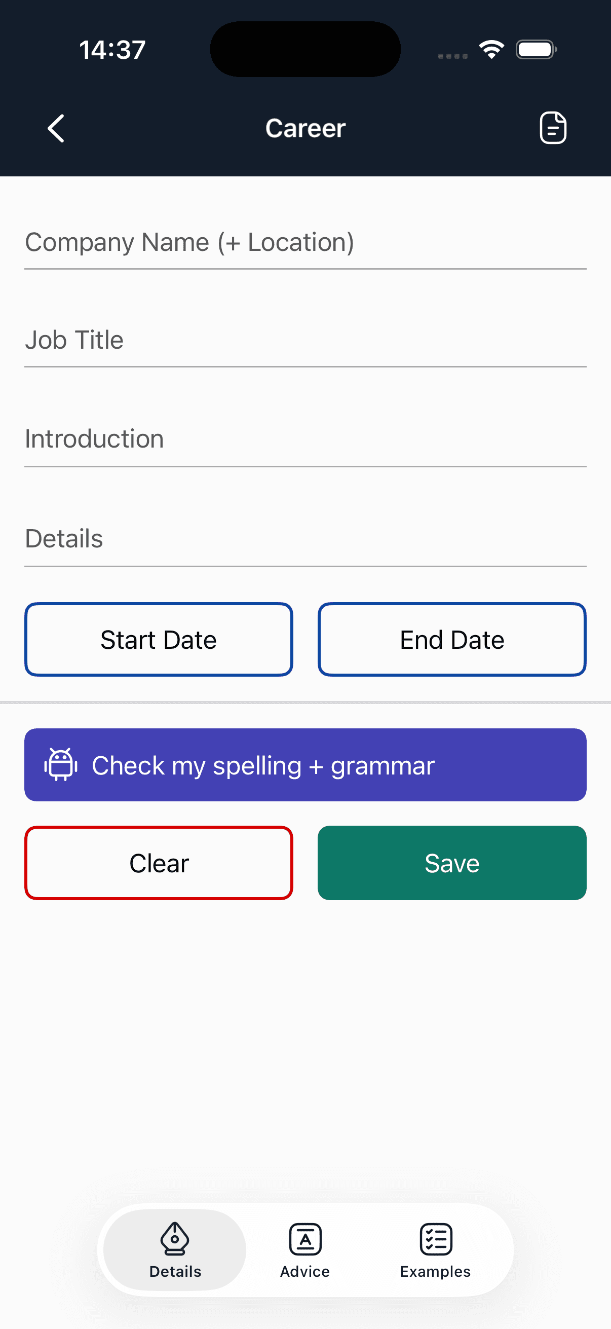 Screen where users input their Professional Experience details