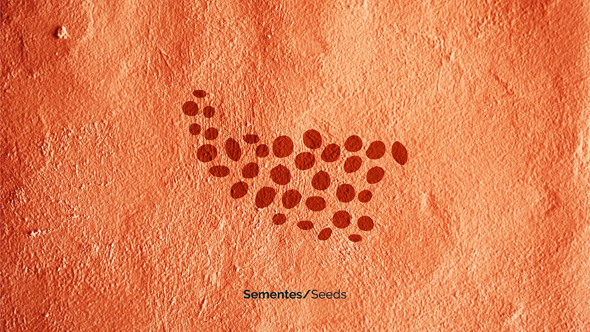 Provida rebrand key visual ecosystem seeds element