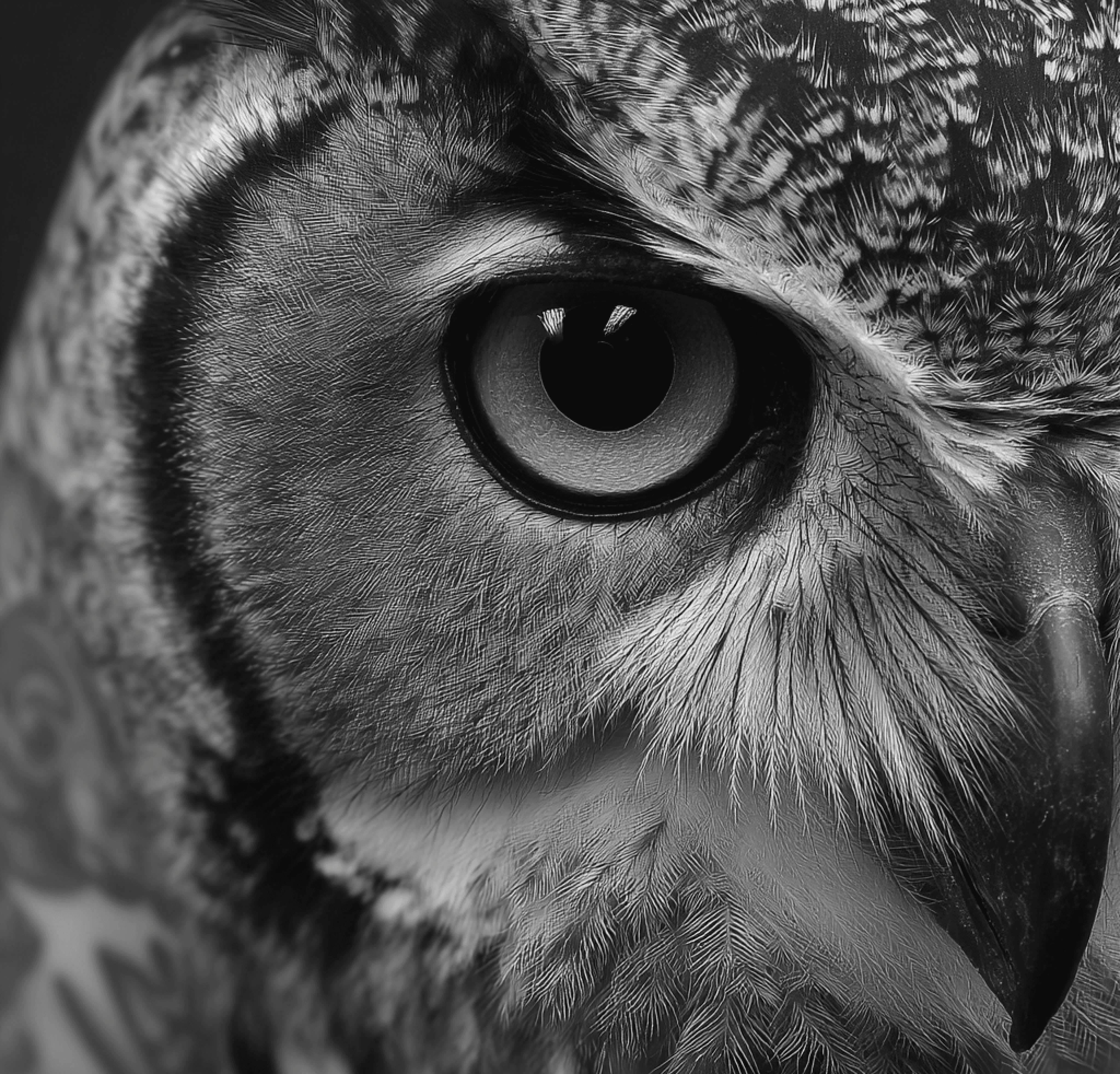 Black and white image of people working at a table with laptops, showing hands gesturing during discussion of digital content displayed on screens, with fabrica® logo in the corner.