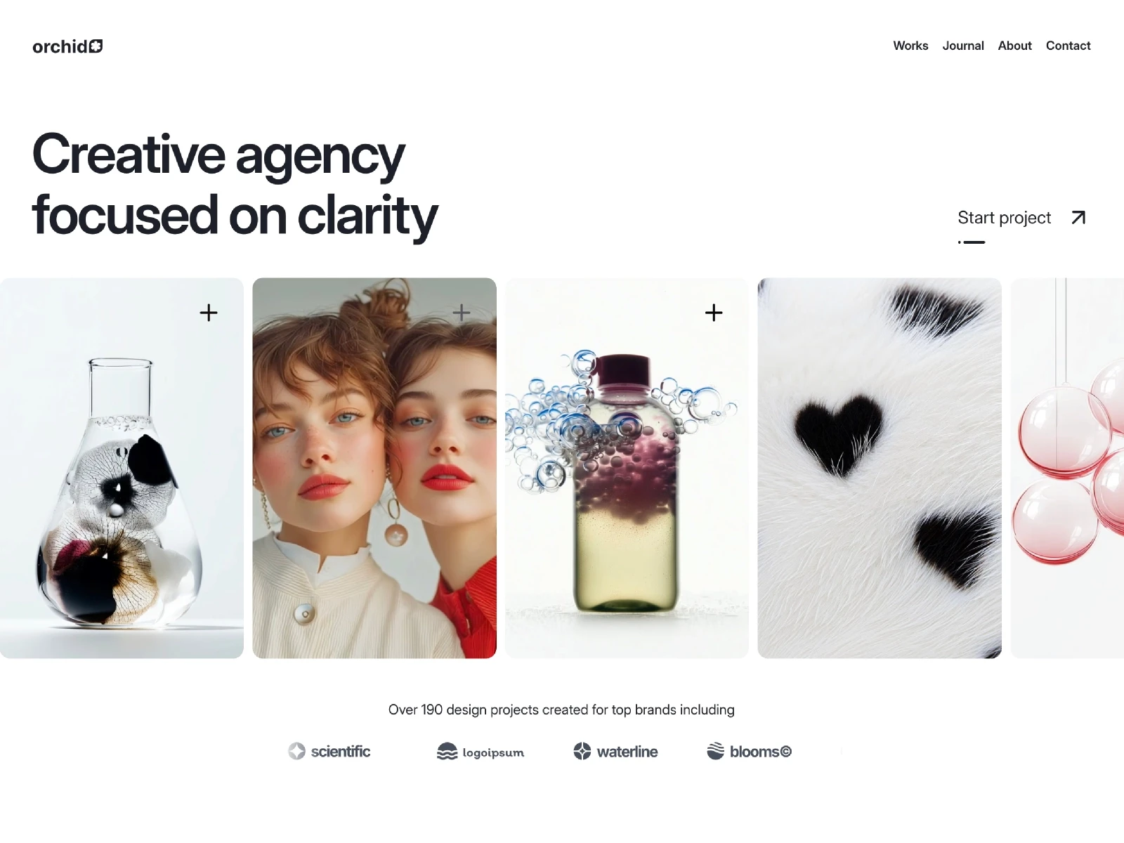 Orchid Agency Template