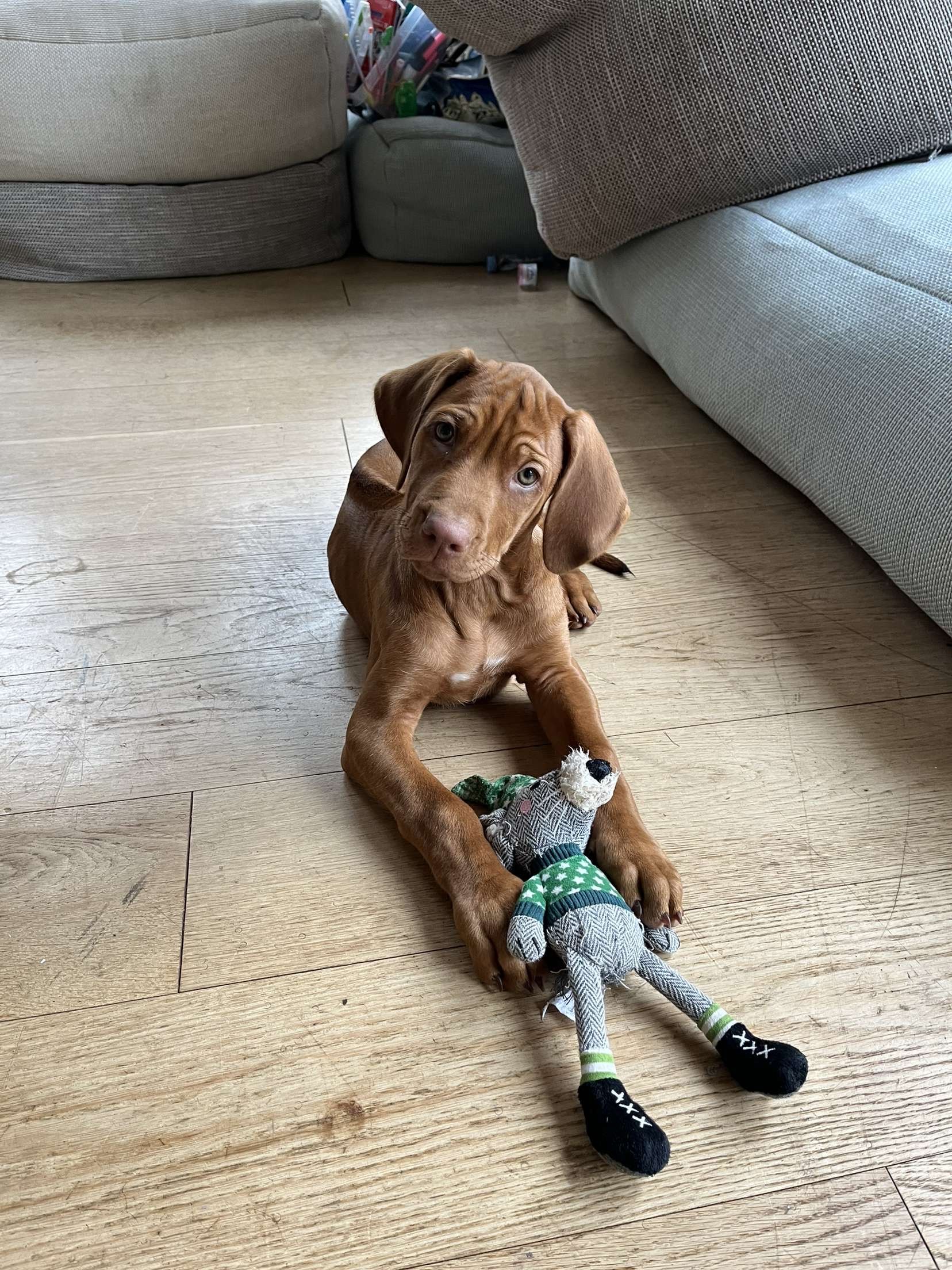 Una&Co Photo Garde à Domicile