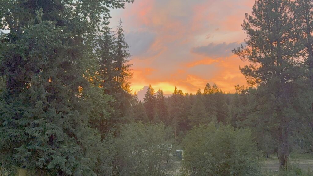 Sunset over the pines in Montana