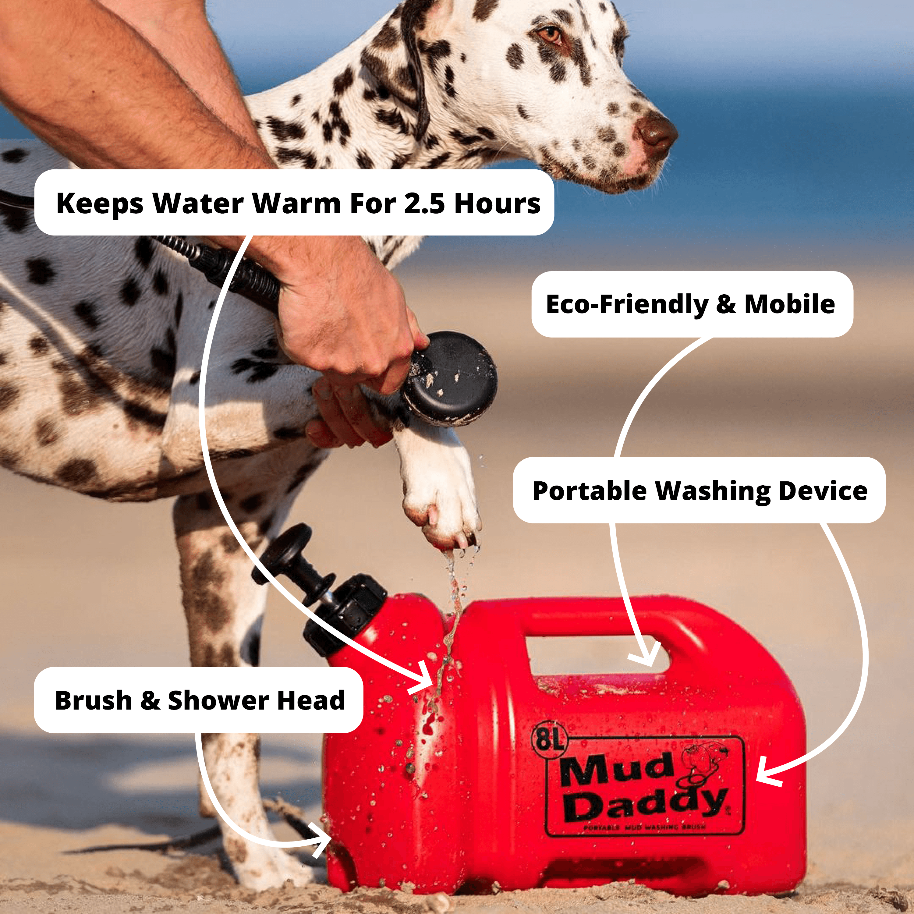 Mud Daddy's Facebook Ads Growth Journey