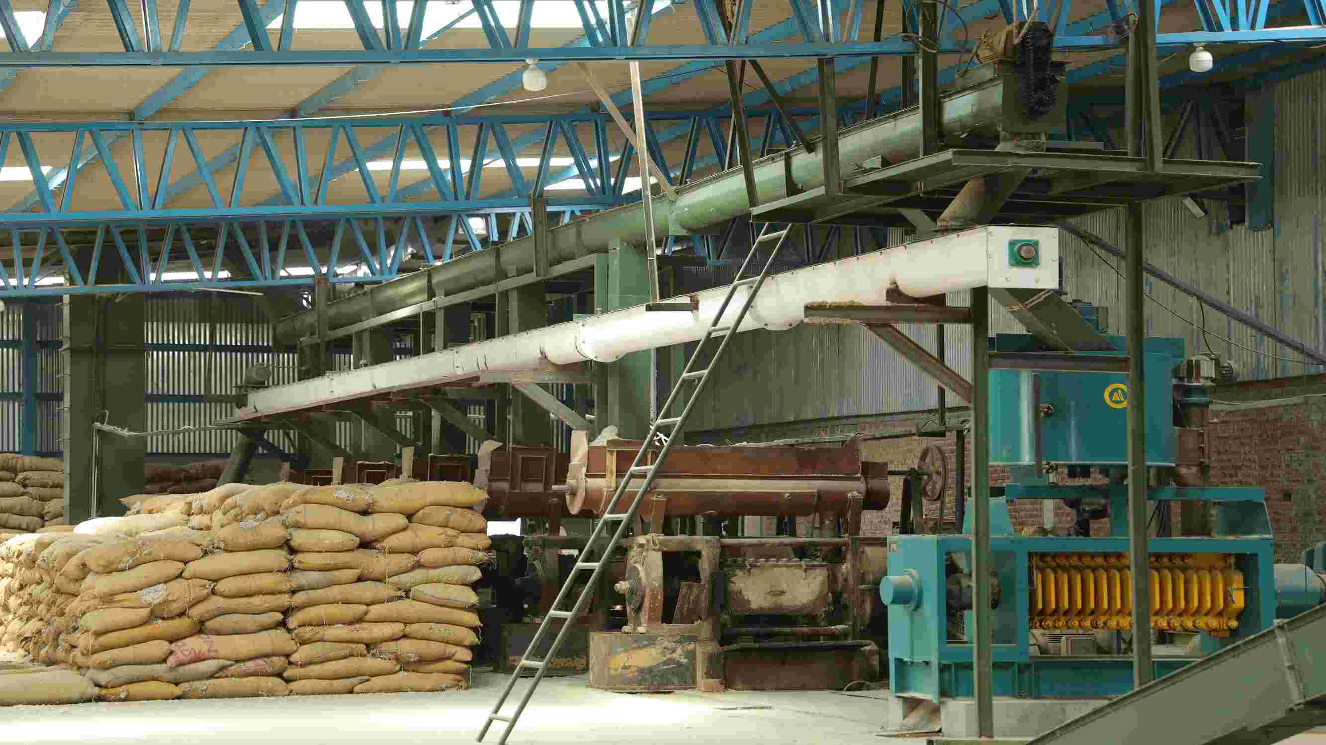 Automated cattle feed production machinery