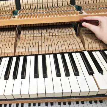 Klavier mechanik - professionele klavier regulierung für klavier flügel