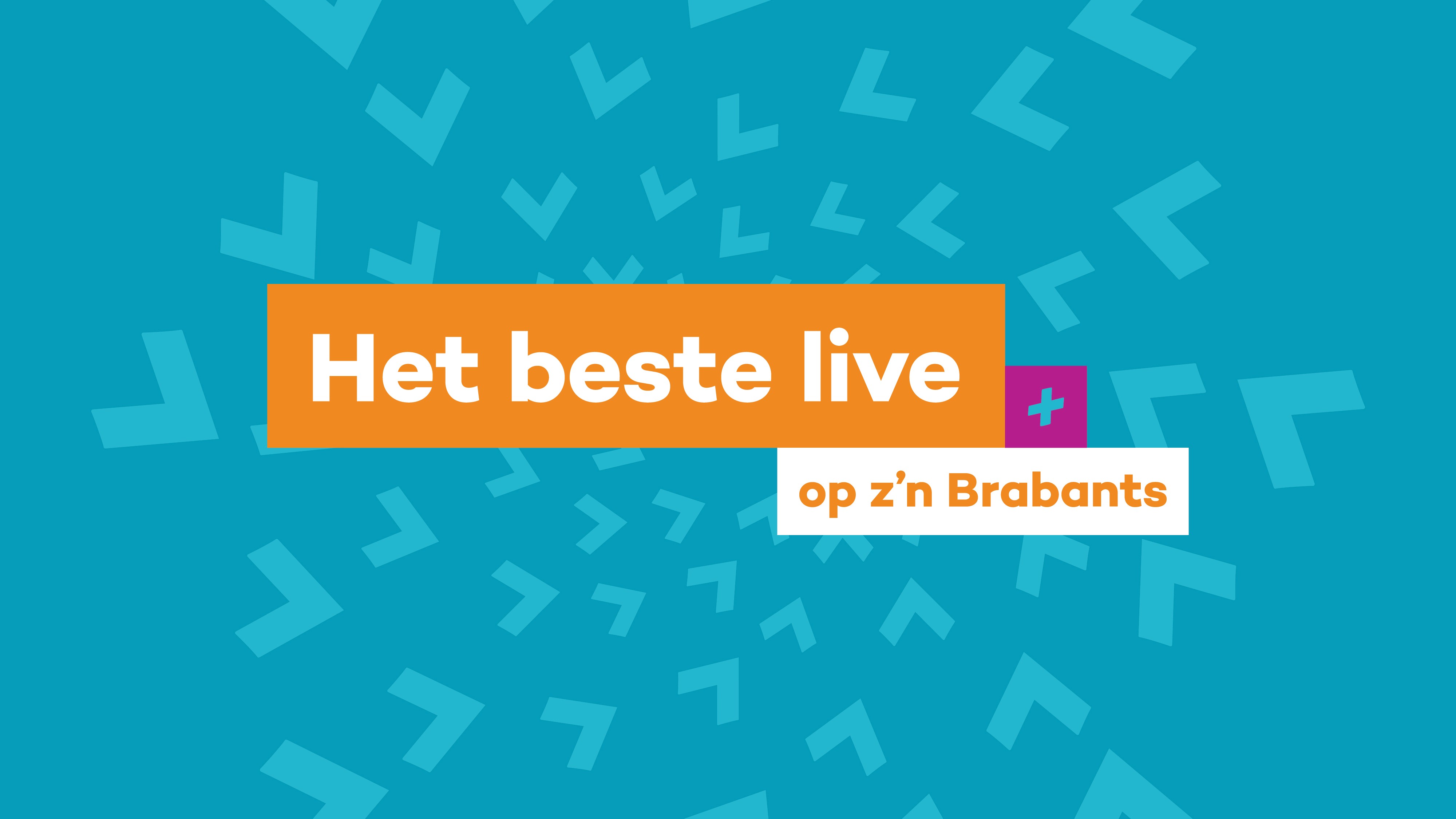 Grafisch ontwerp Breda Live socialmedia