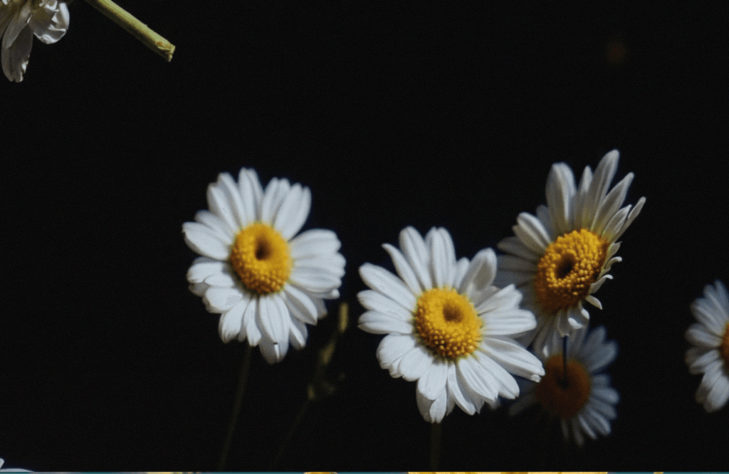 Raha, mis liigub sinu rütmis.