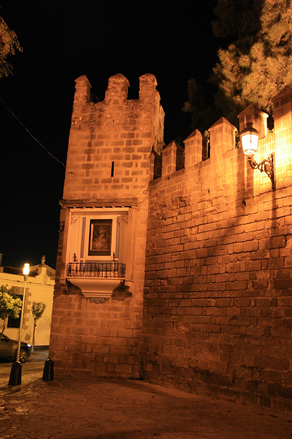 a tree with pink flowers in front of a store