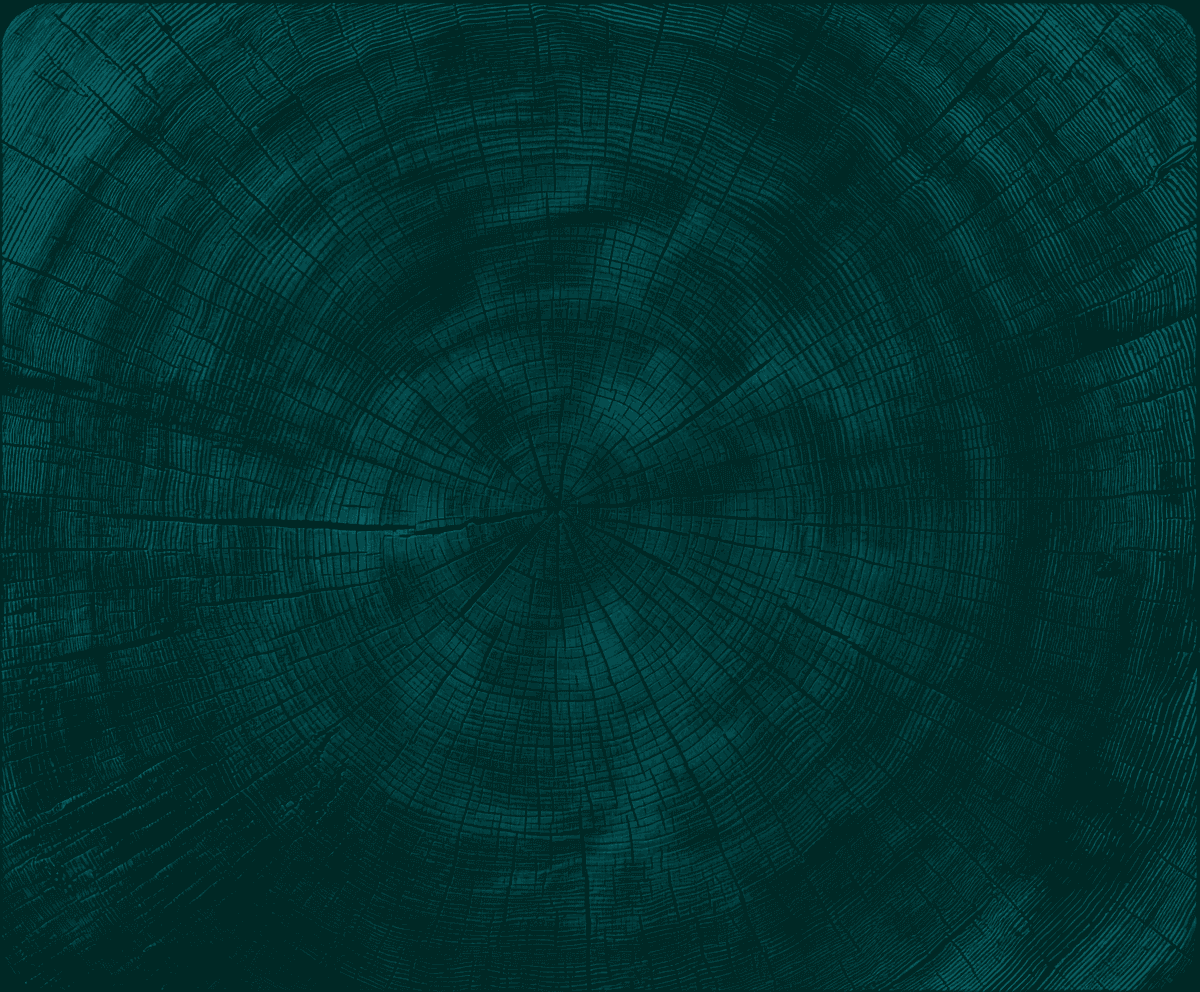 A silhouette of a person standing amidst vibrant swirling colors of teal and orange.