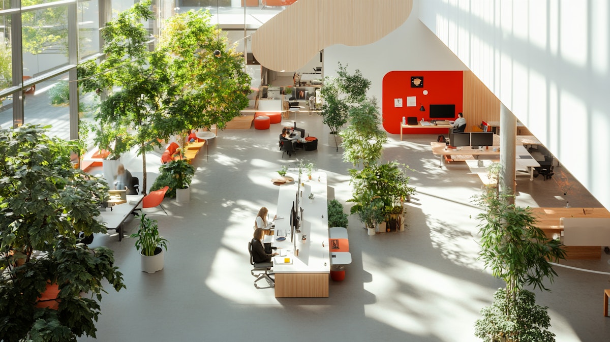 The image featured at the top of the about us page #1