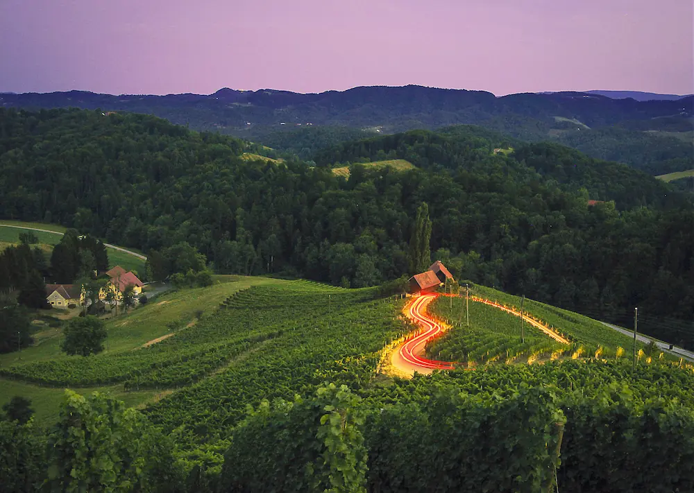  A long-exposure photo of the famous heart-shaped road through the Špičnik vineyards in Slovenia at twilight, featuring glowing red light trails from a vehicle winding through rolling green hills and lush grapevines.