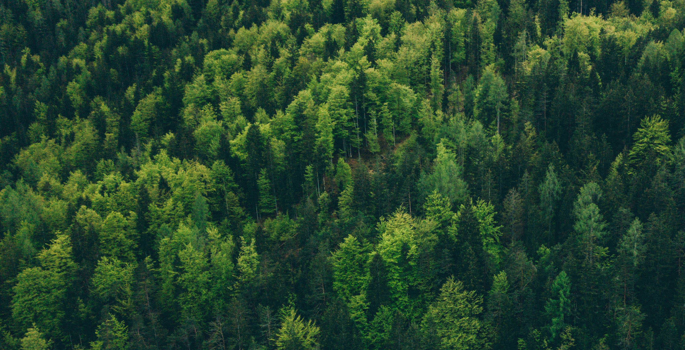 Wisk Aero Furthers Leadership in Sustainability