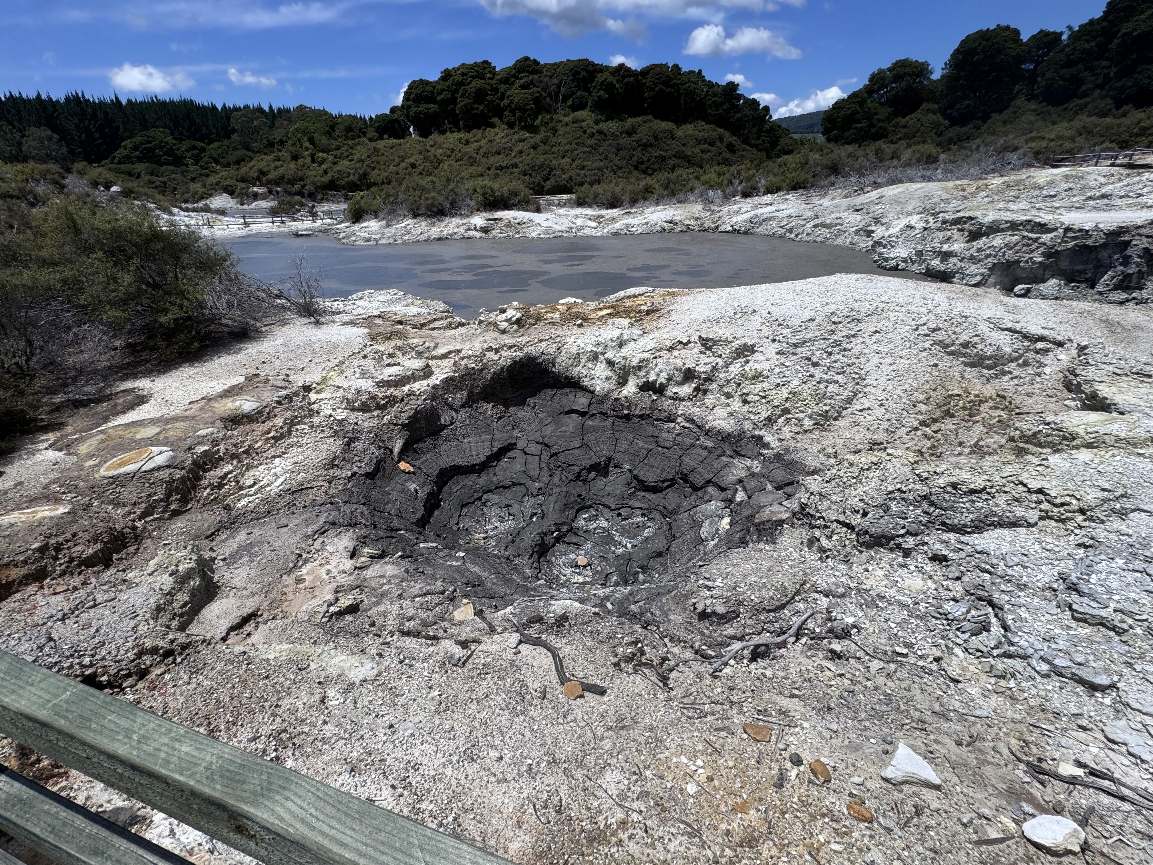 A scorched landscape at Hell's Gate, Rotorua