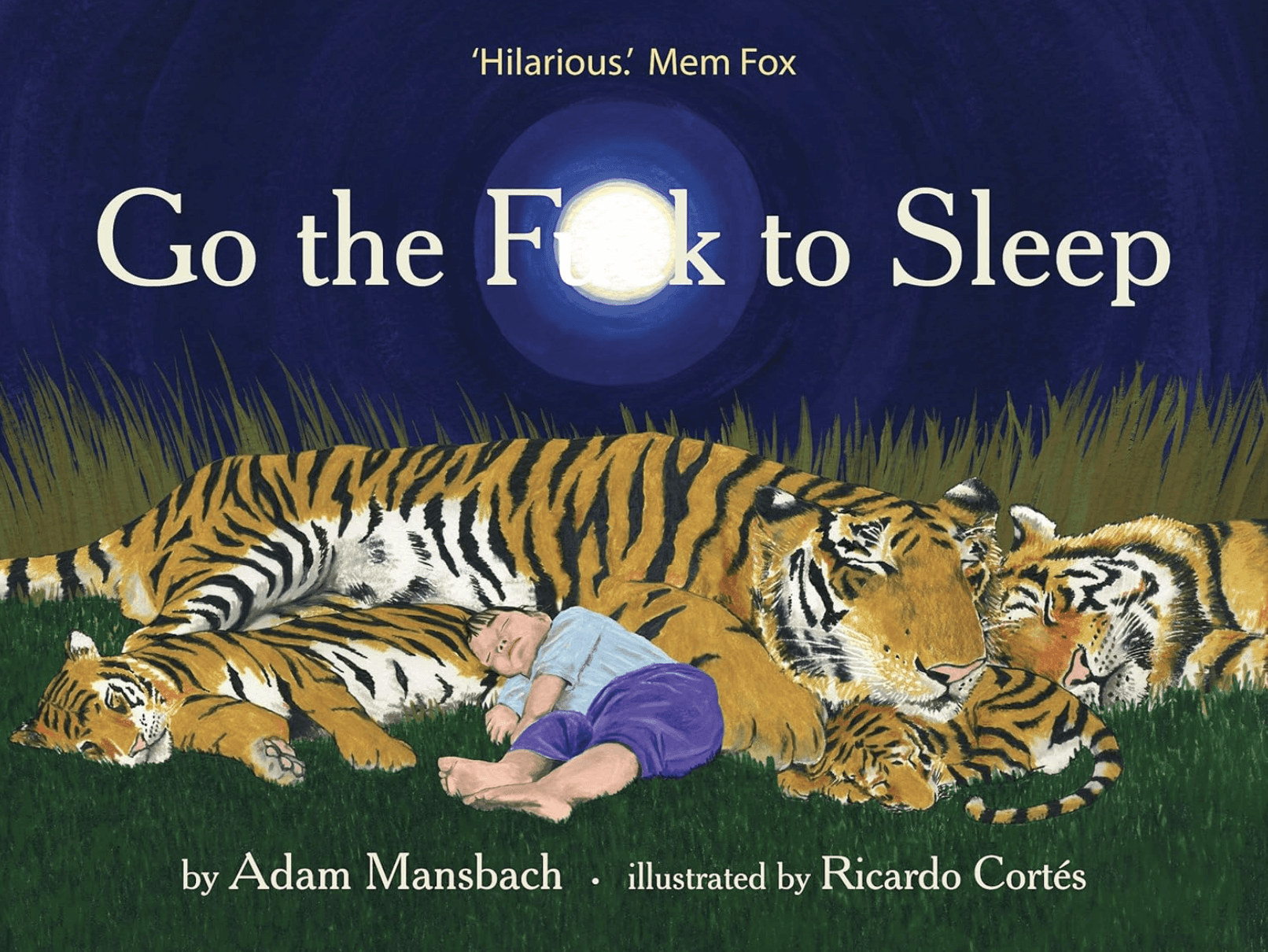 Go the F**k to Sleep Book