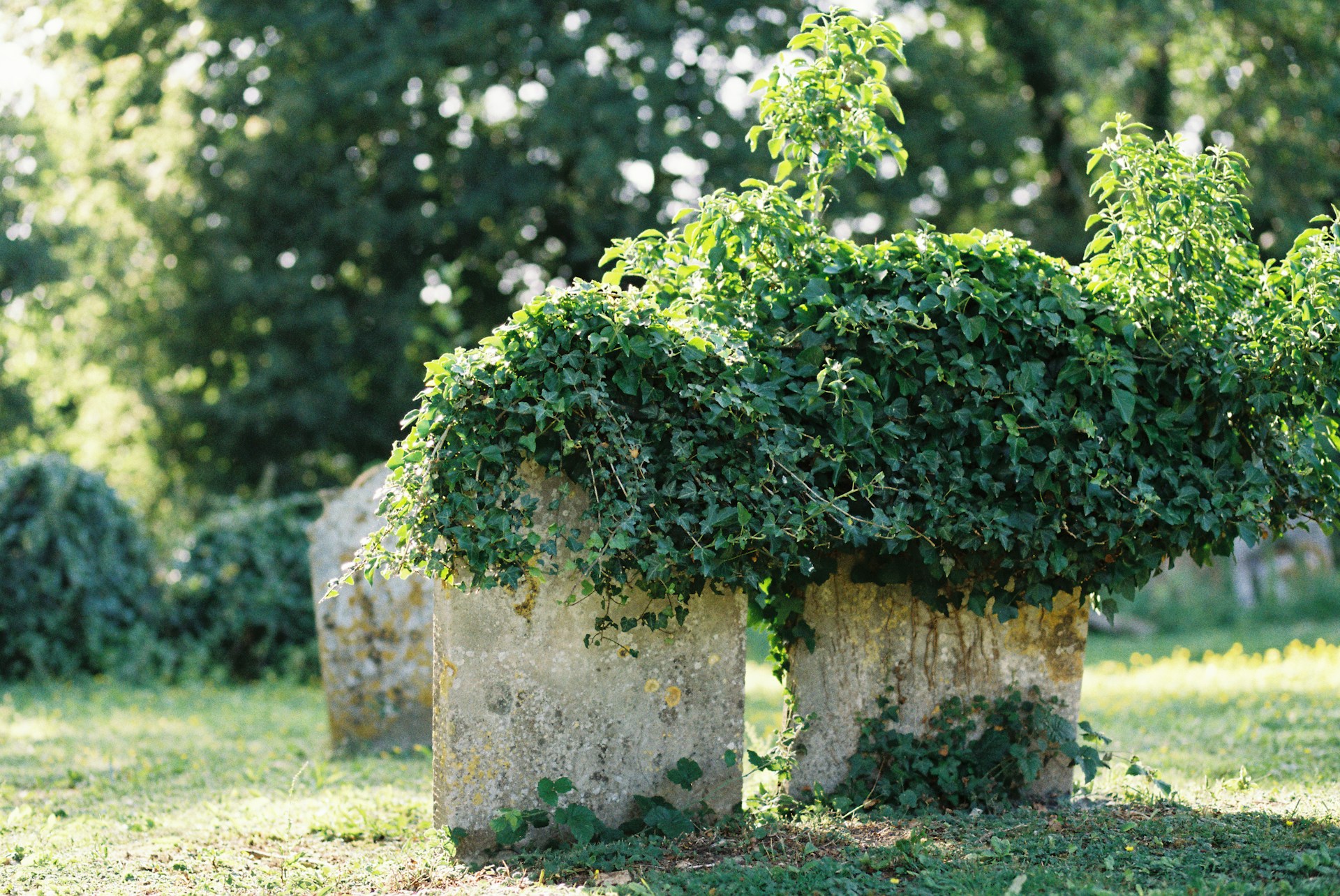 how to choose a headstone in Camden NJ