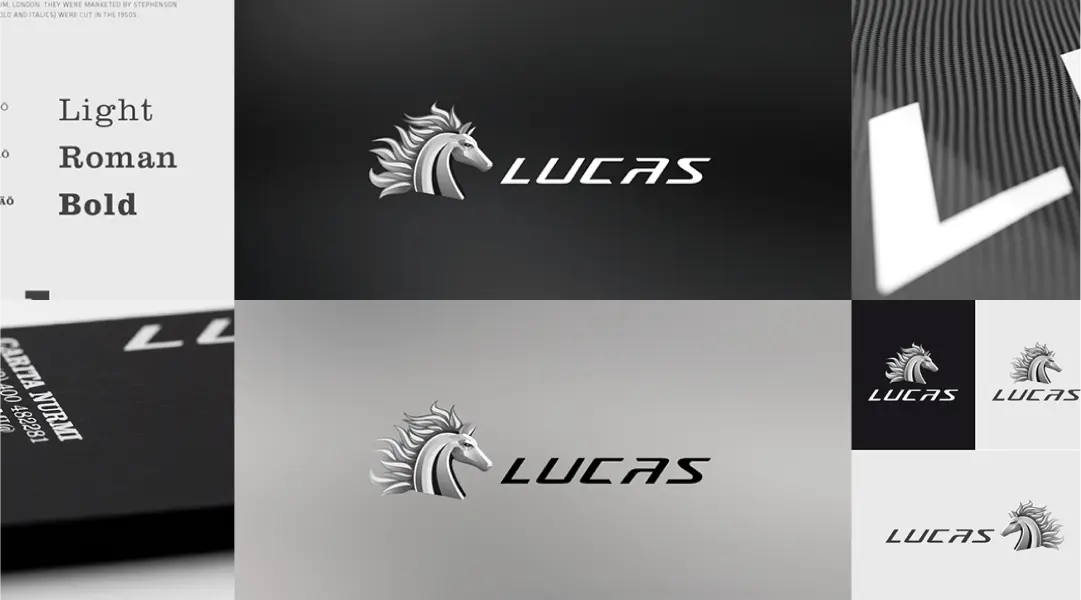 Lucas Kuljetus is a top Finnish transportation and logistics company