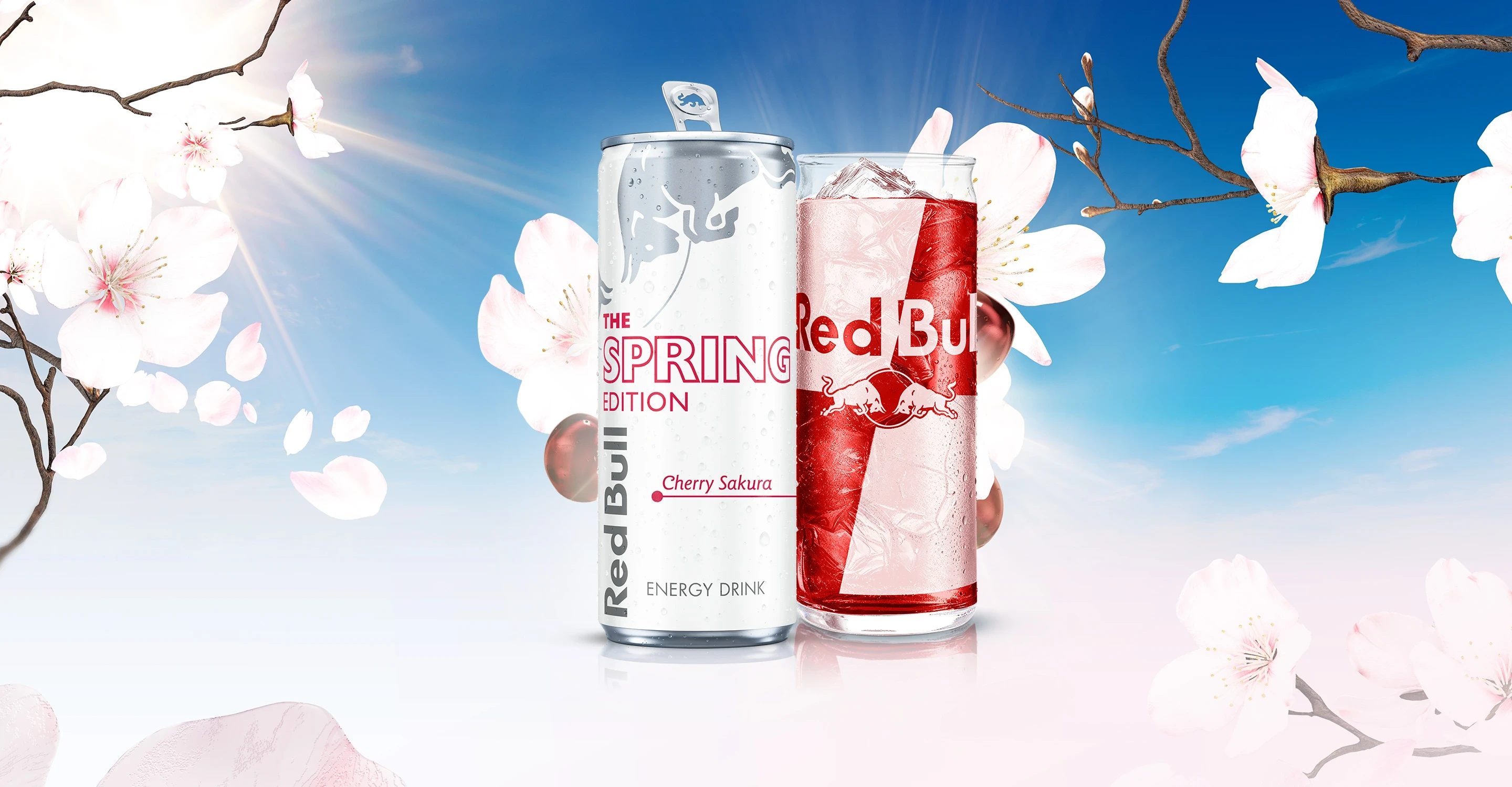 Red Bull Spring 2026