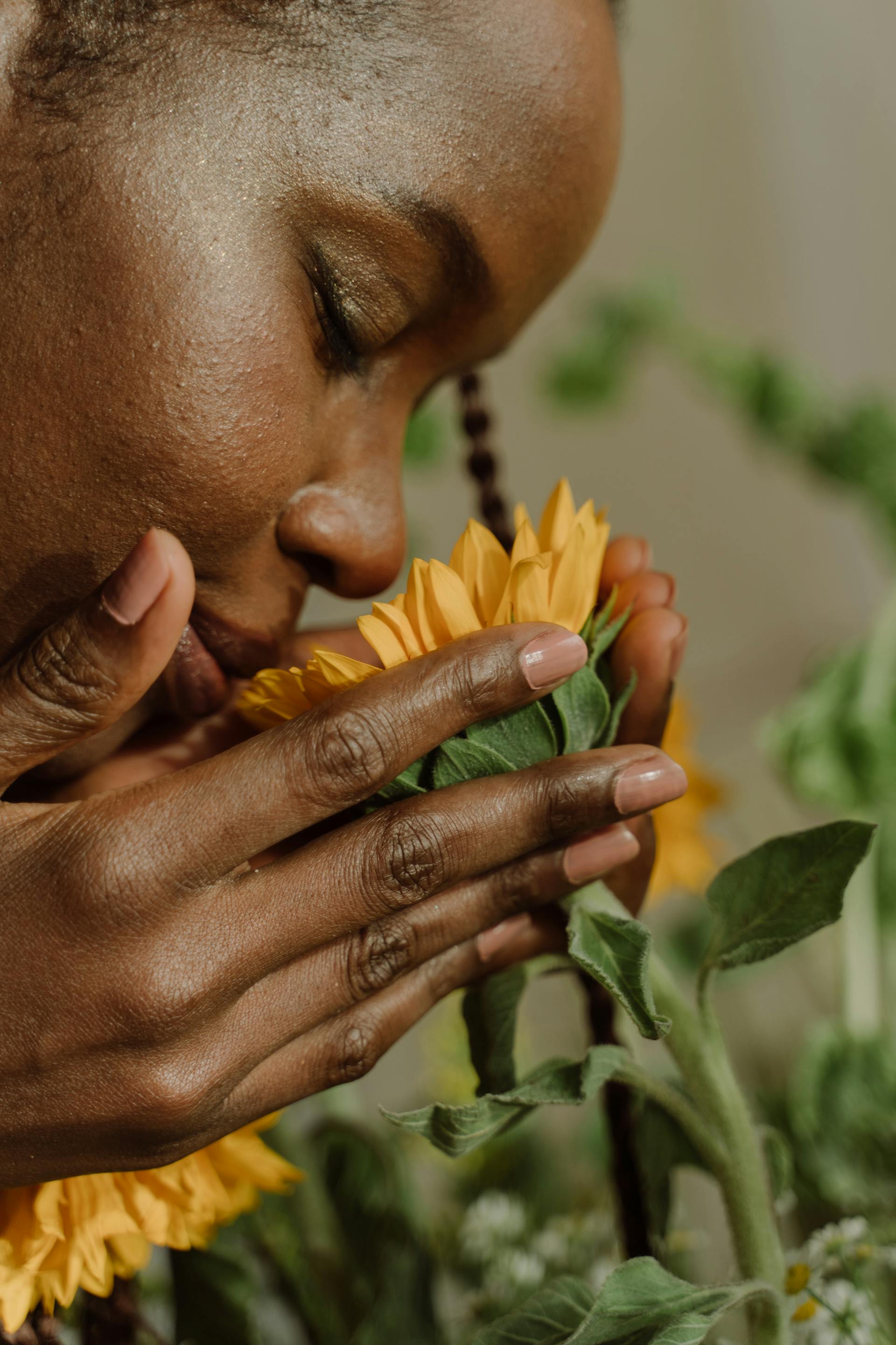 A close-up of a woman gently cupping a vibrant yellow sunflower in her hands and bringing it close to her face to smell it.