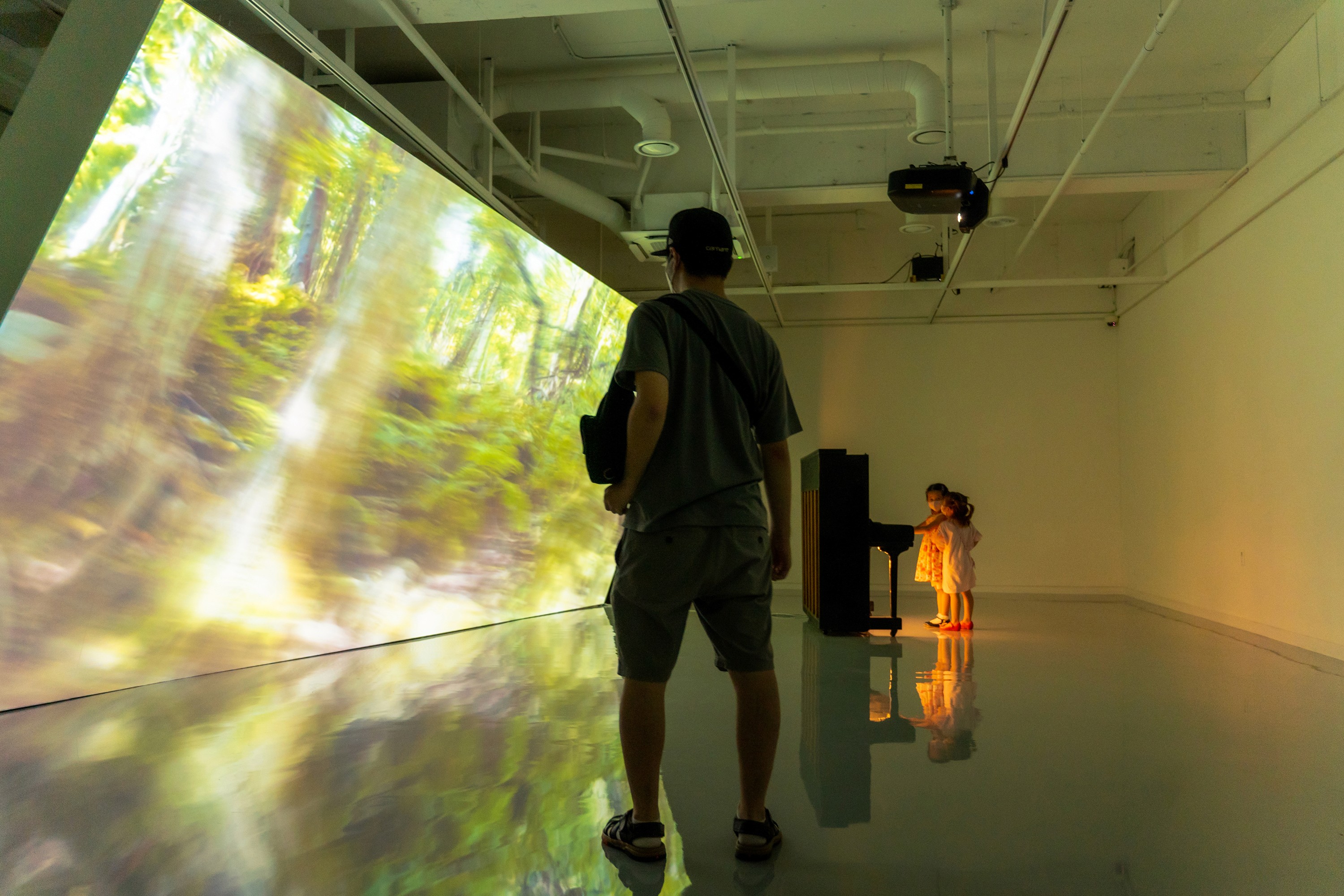 Team collaborating on laptops in bright workspace