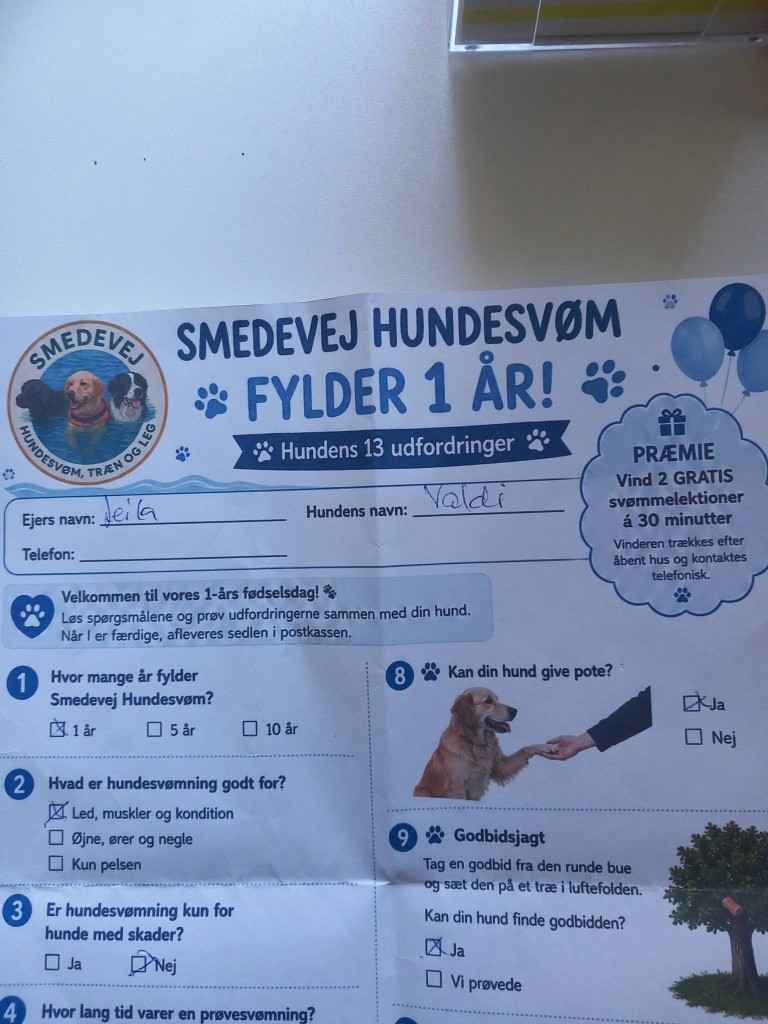 Seddel med Hundens 13 udfordringer fra 1-års fødselsdagen