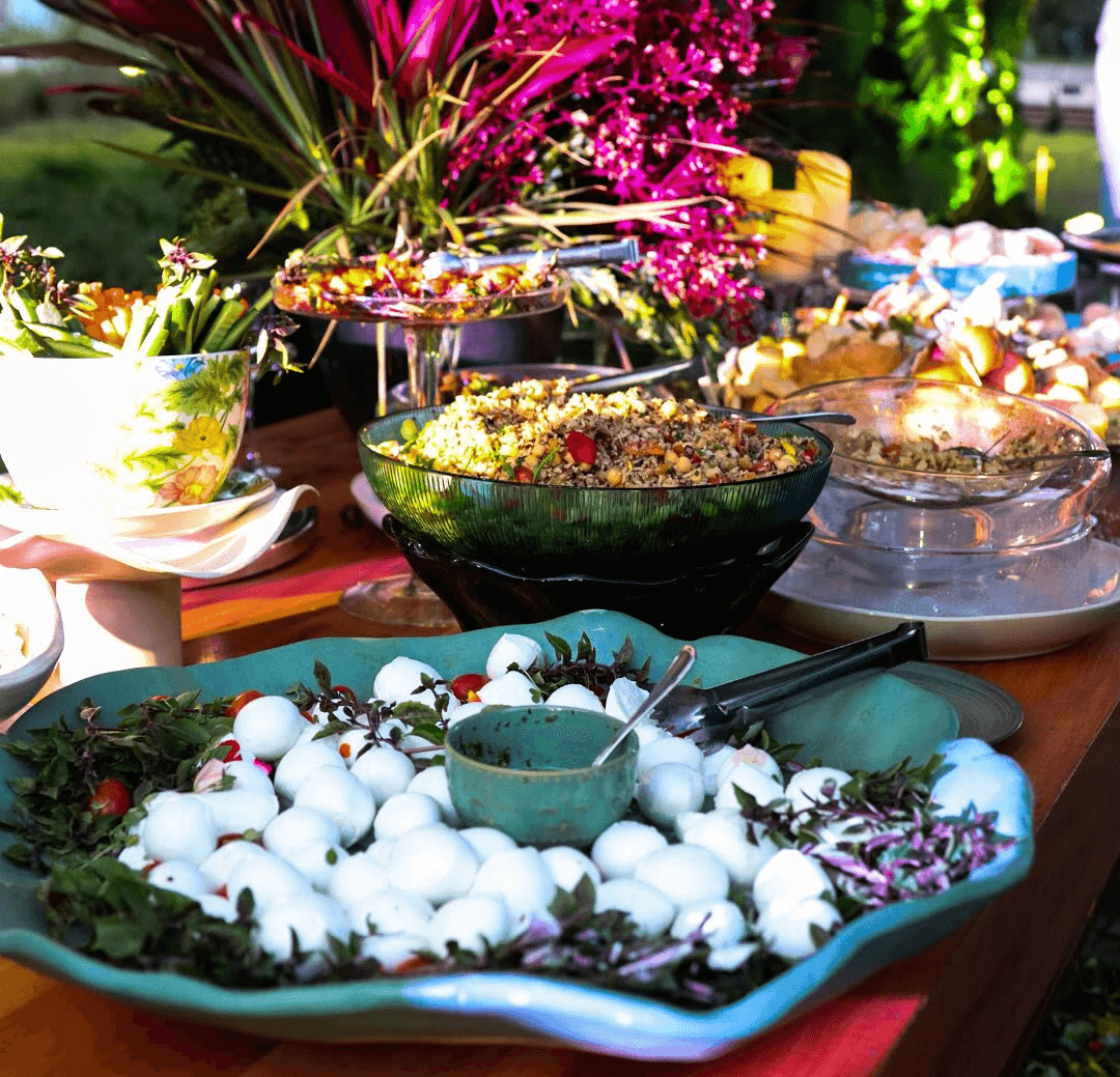 casa petra c law experience