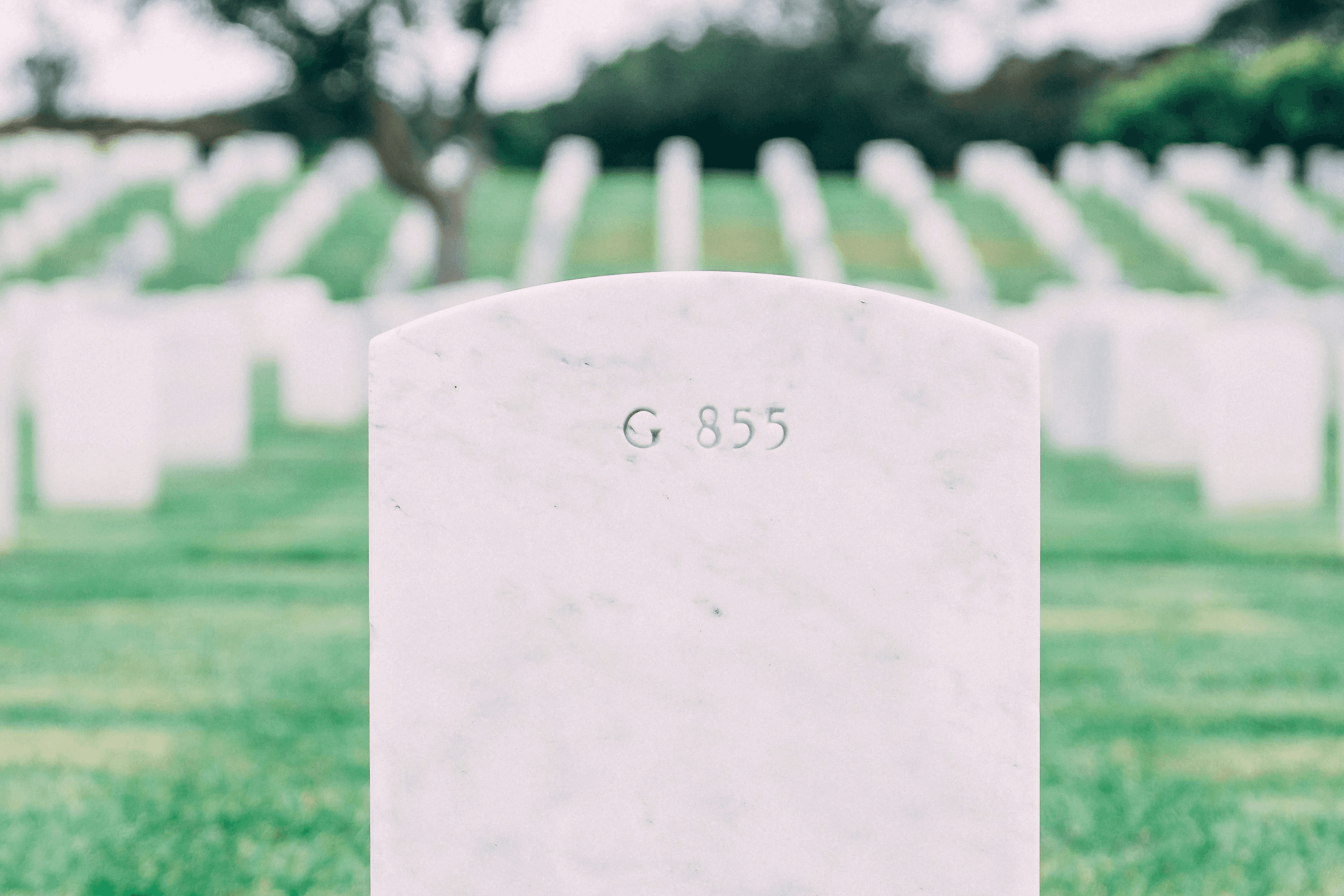 Image of headstones in a graveyard