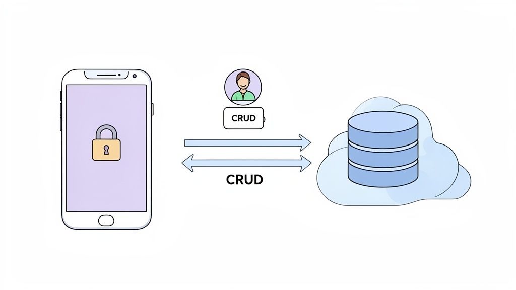 Secure mobile application with a lock icon performing CRUD operations with a cloud database and user.