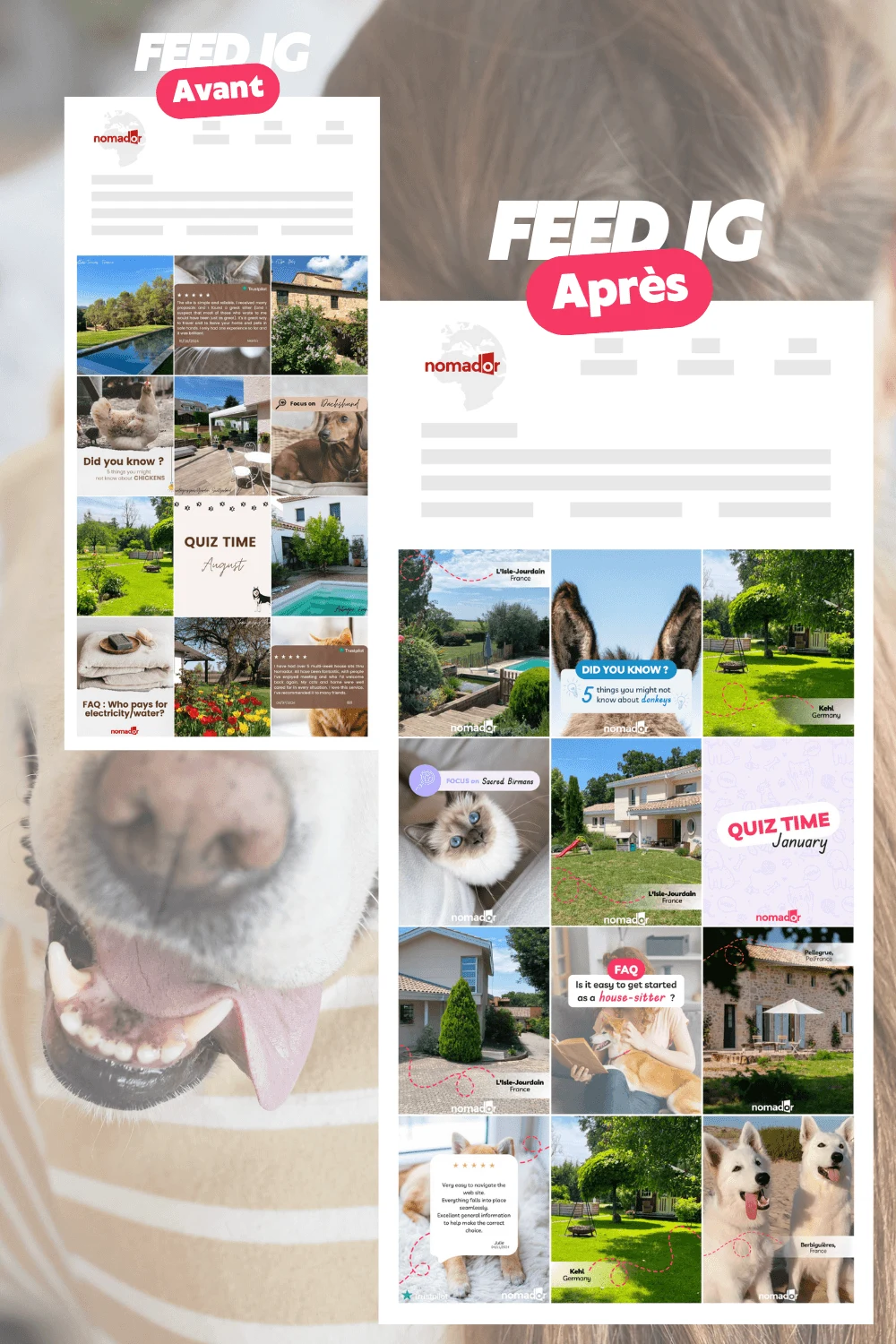 Templates Instagram réseaux sociaux Nomador créés par Coralie De Almeida, mise en relation propriétaires et home-sitters