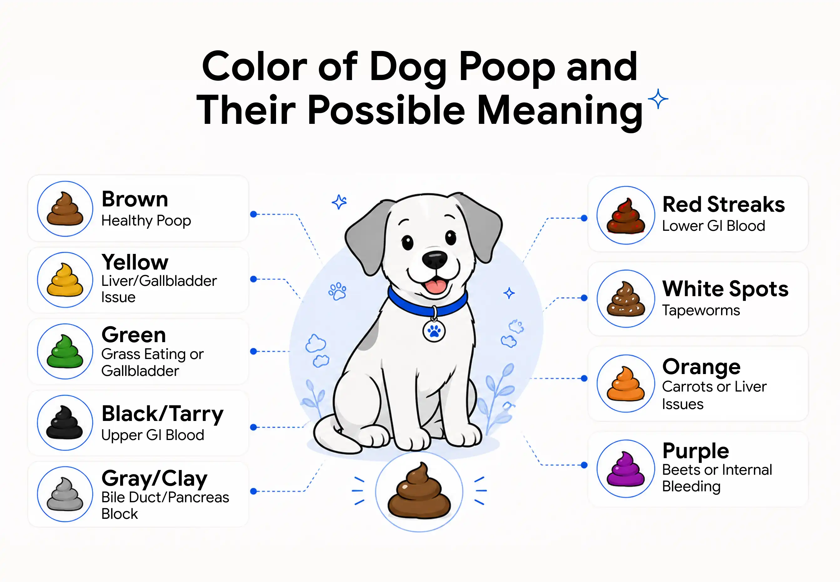An infographic showing the different colors of dog poop and their meanings.