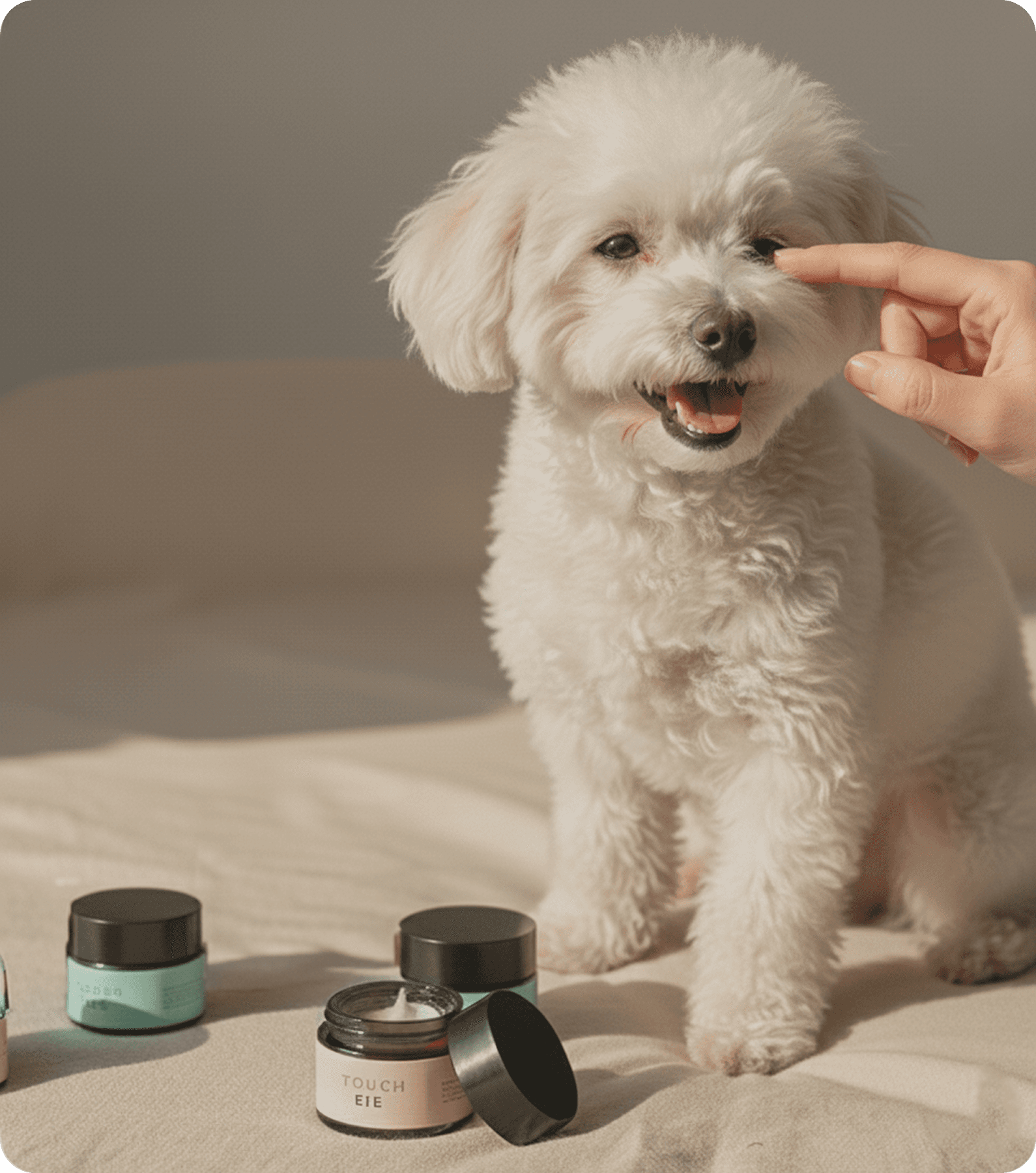 Small dog sitting while a hand applies balm near its eye, with TENDS care products placed beside it