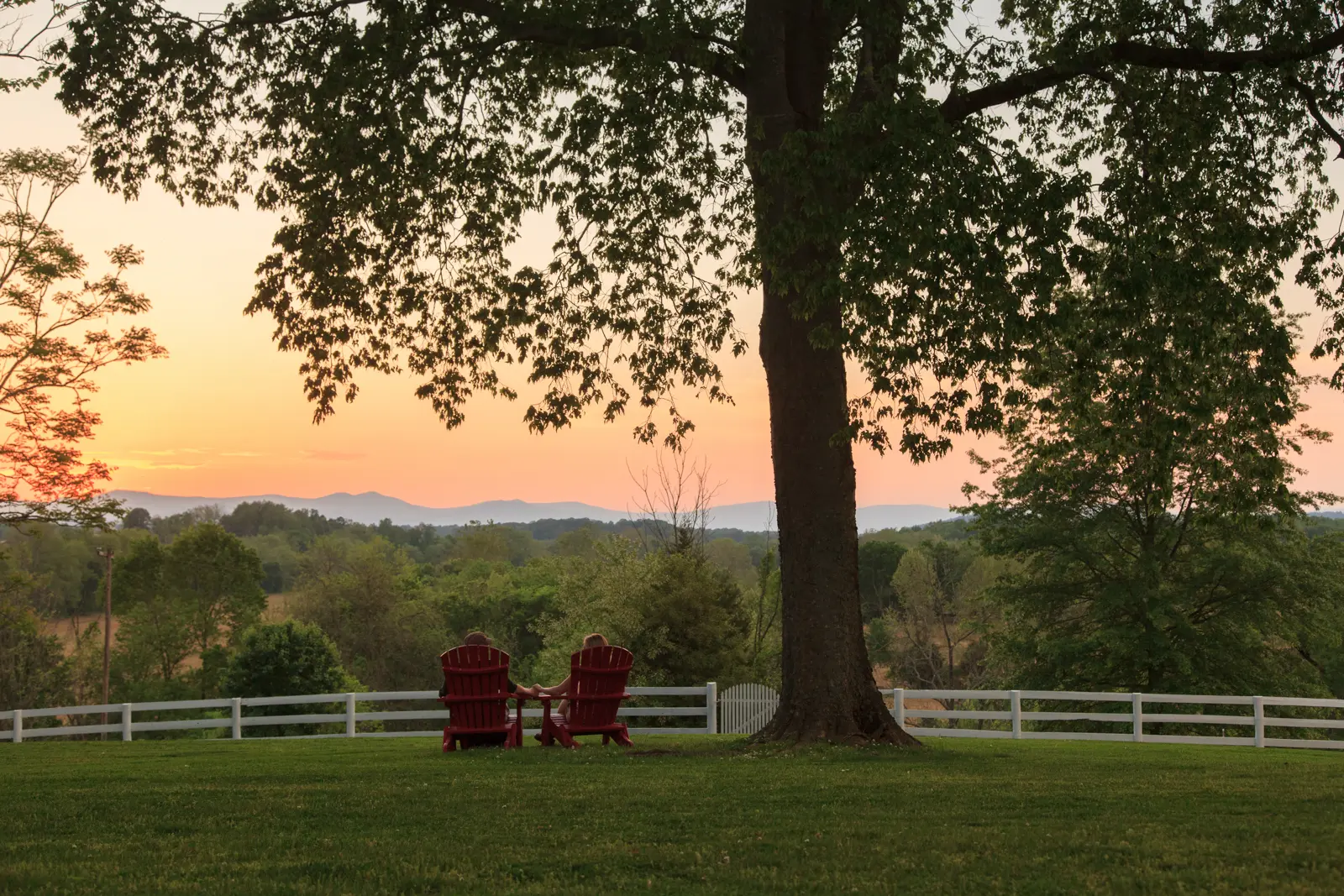 The Estate at Meander