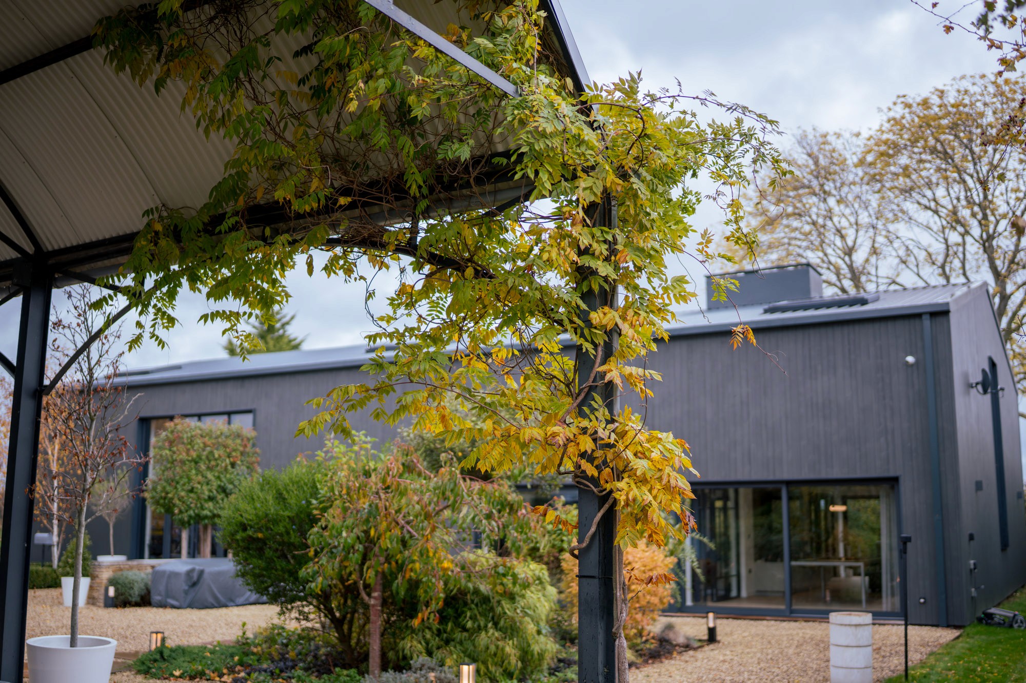Person operating lights with Tap