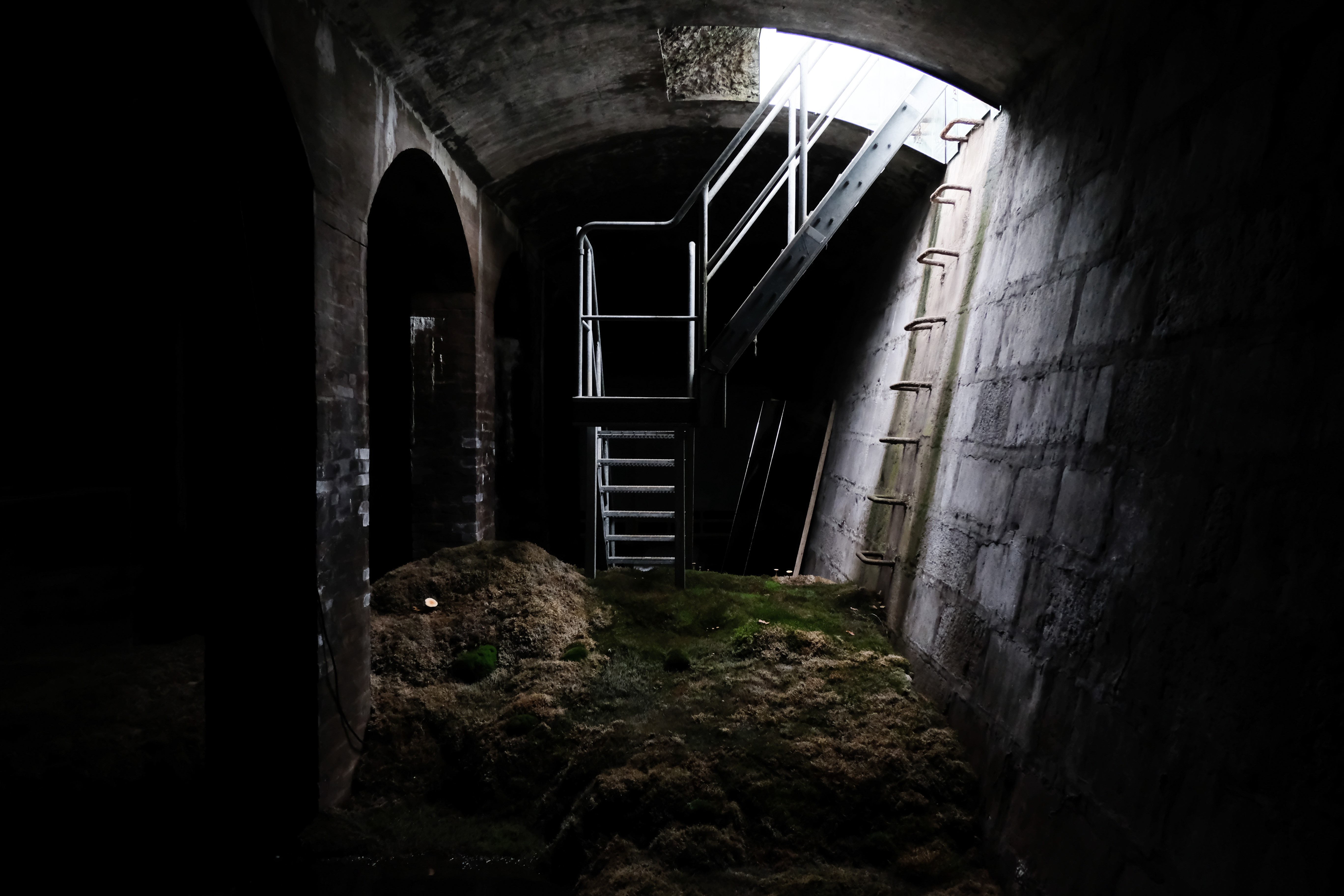 A dimly lit underground chamber with arched doorways, a spiral metal staircase, and mossy ground, leading up to an opening with daylight filtering in.