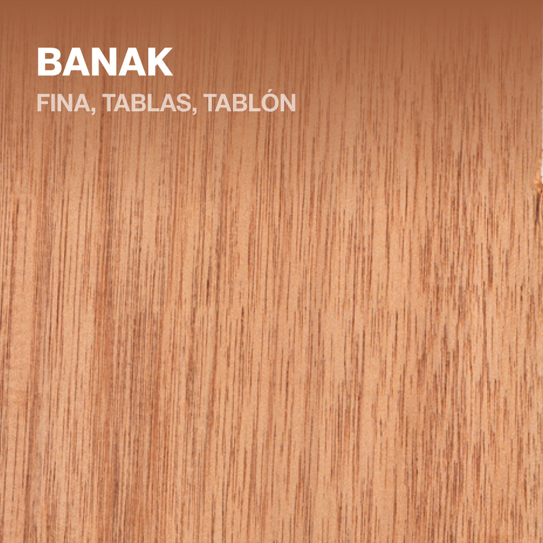 Madera Banak | Fina, Tabla, Tablones