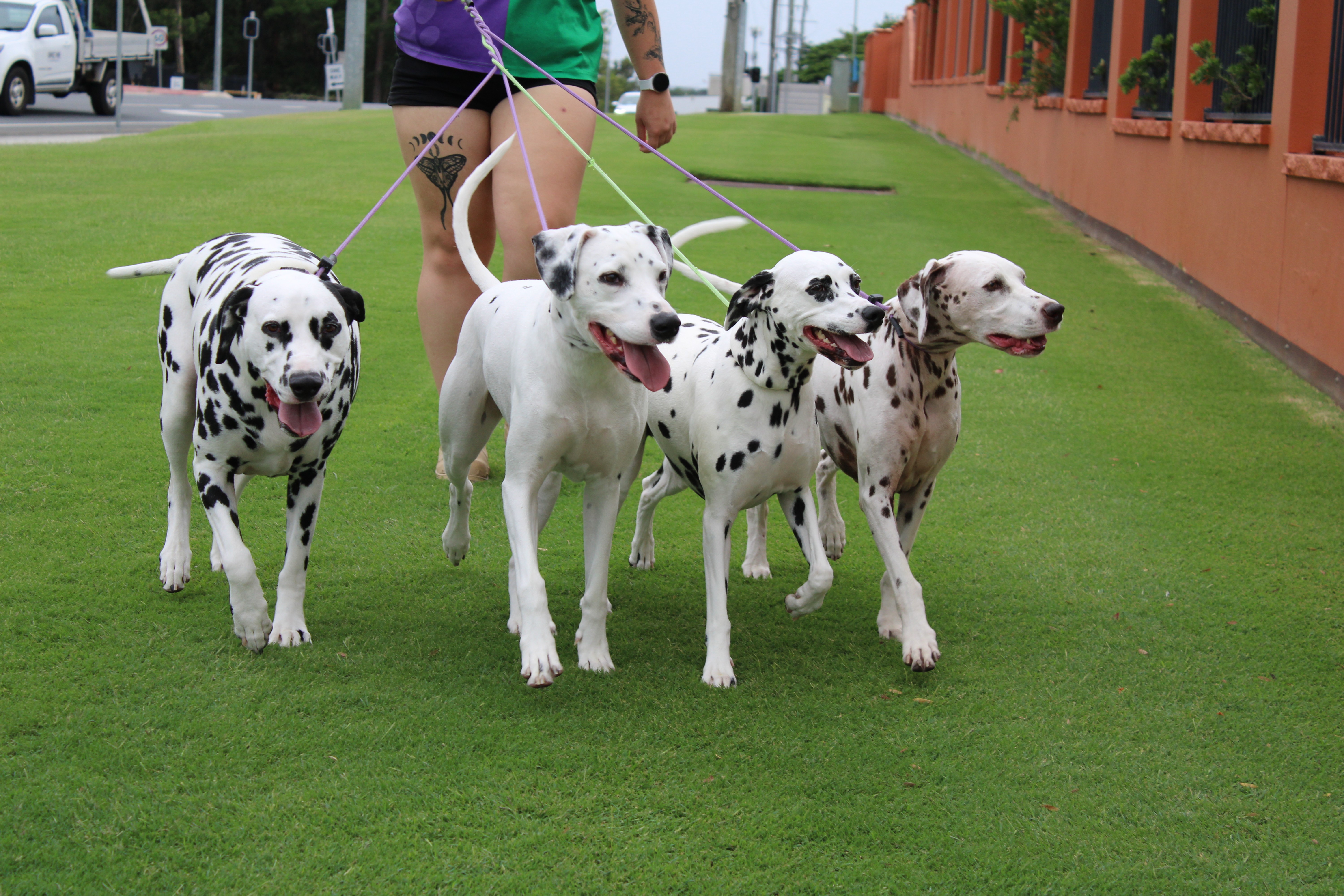 Hero image of beauty products