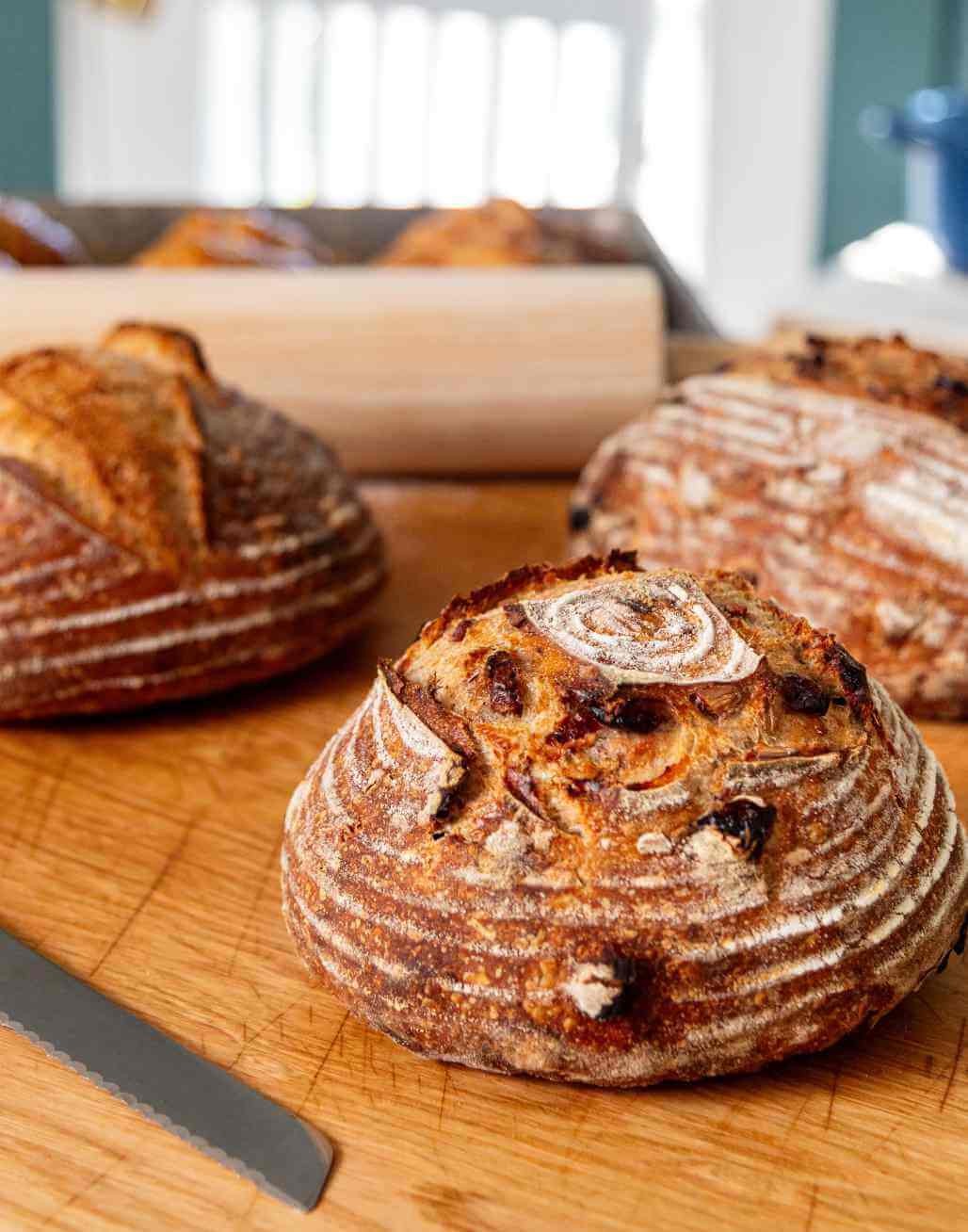 Sourdough Cranberry & Pecan