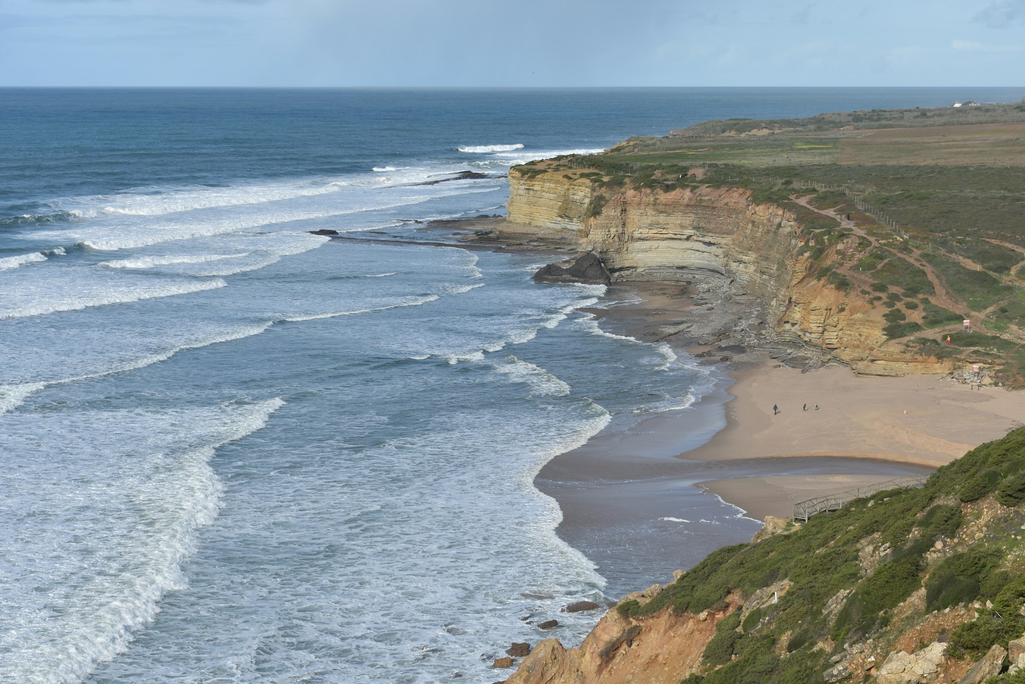 Aerial view of beach during daytime