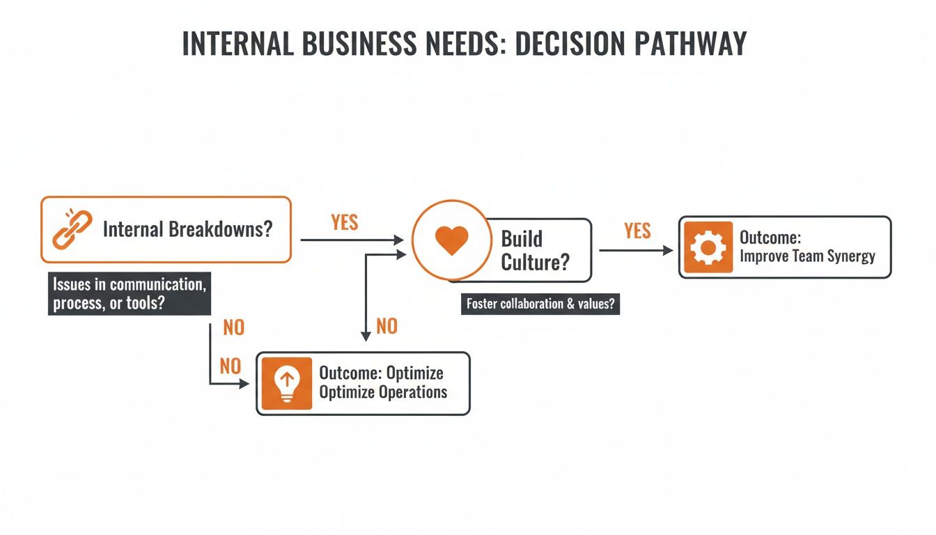 Flowchart showing an internal business needs decision pathway for improving culture and optimizing operations.