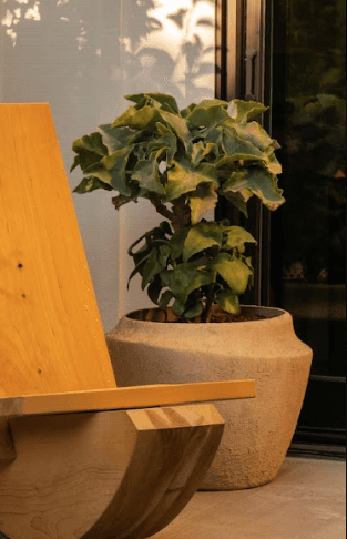 Alluvium Planter