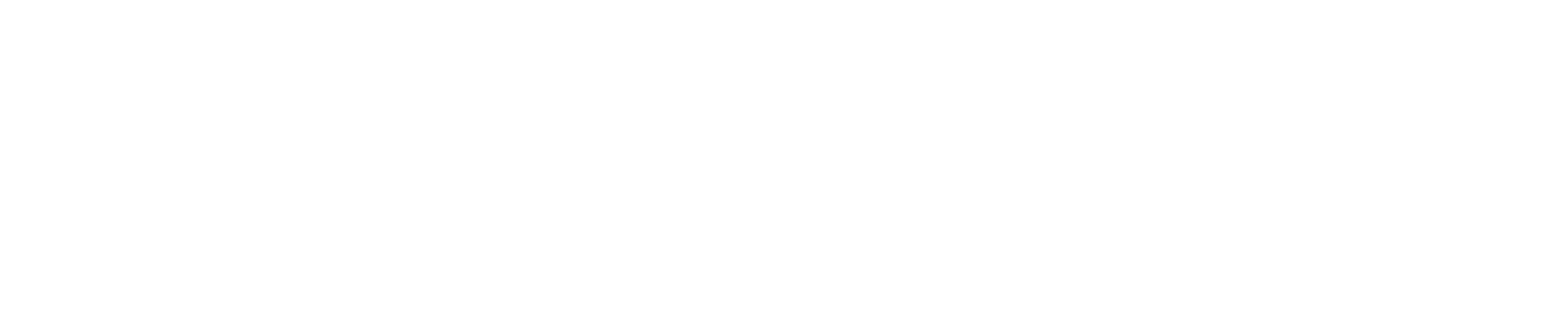 Lainey Wilson Logo