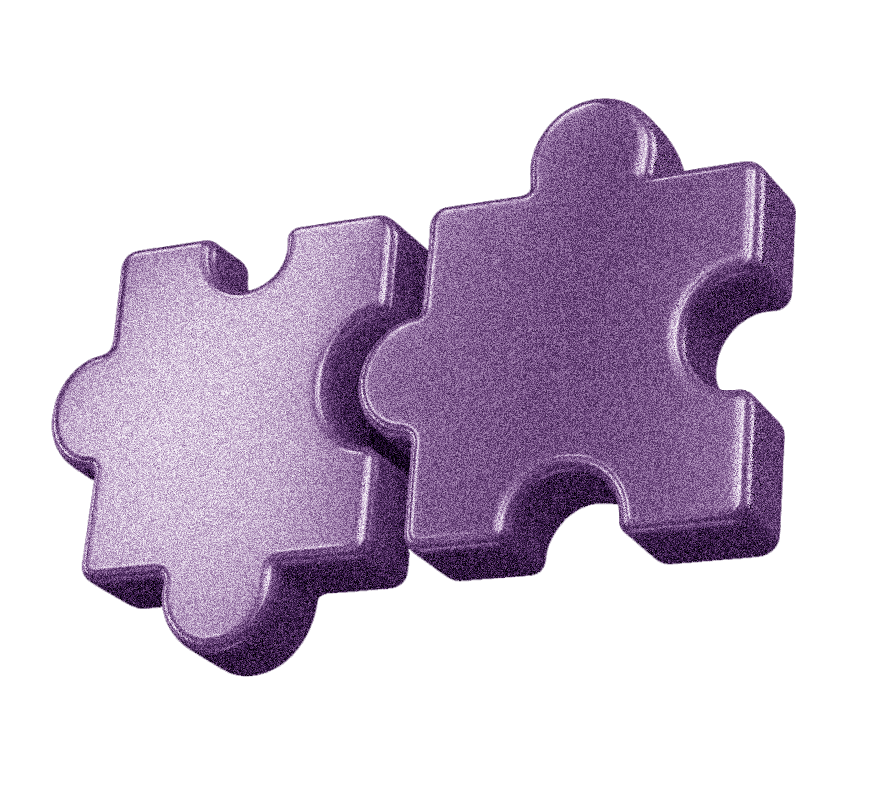ai integration elberly