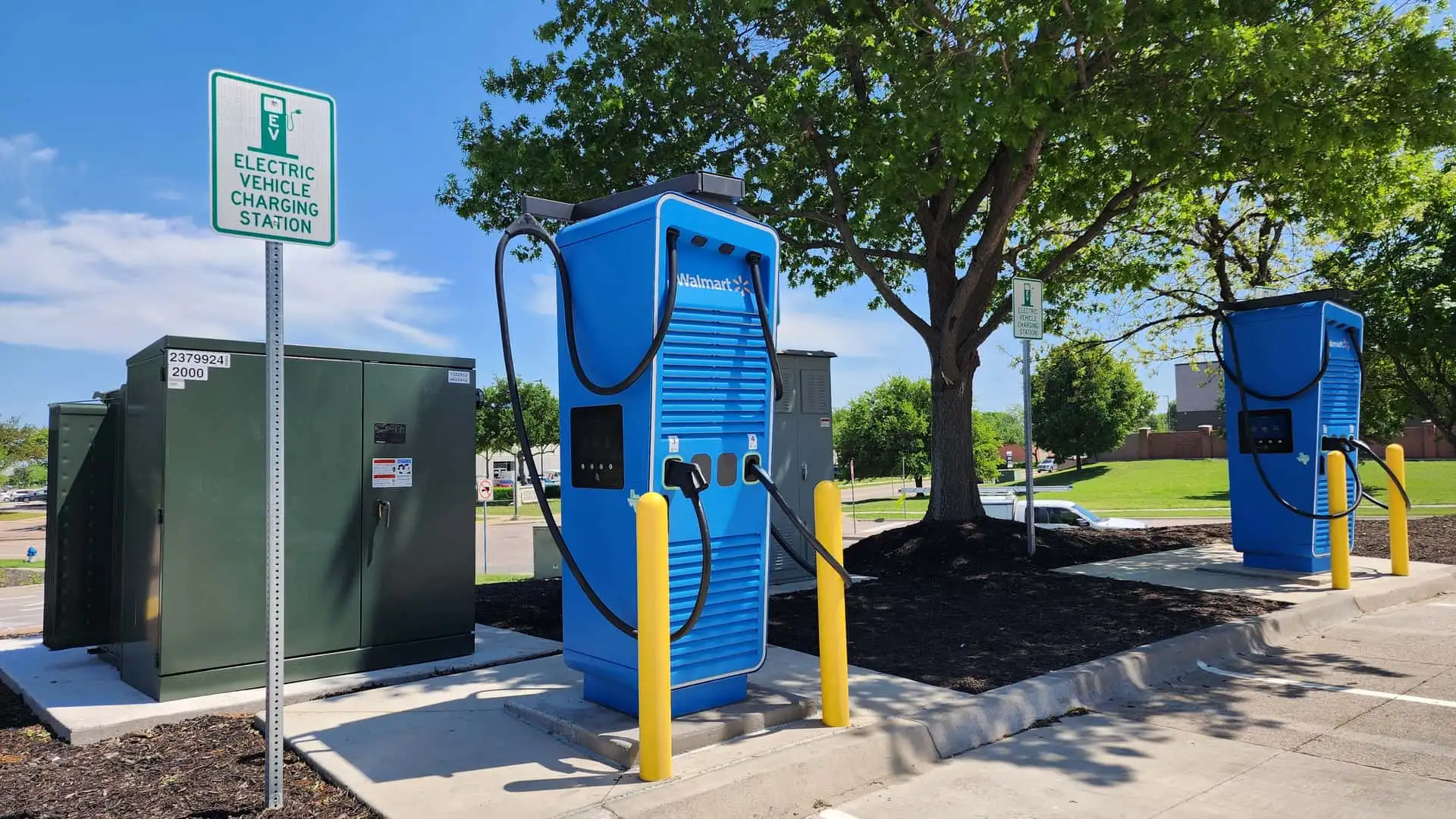 Two blue recycling containers and a utility box are set in a sunny outdoor area with green grass and trees.