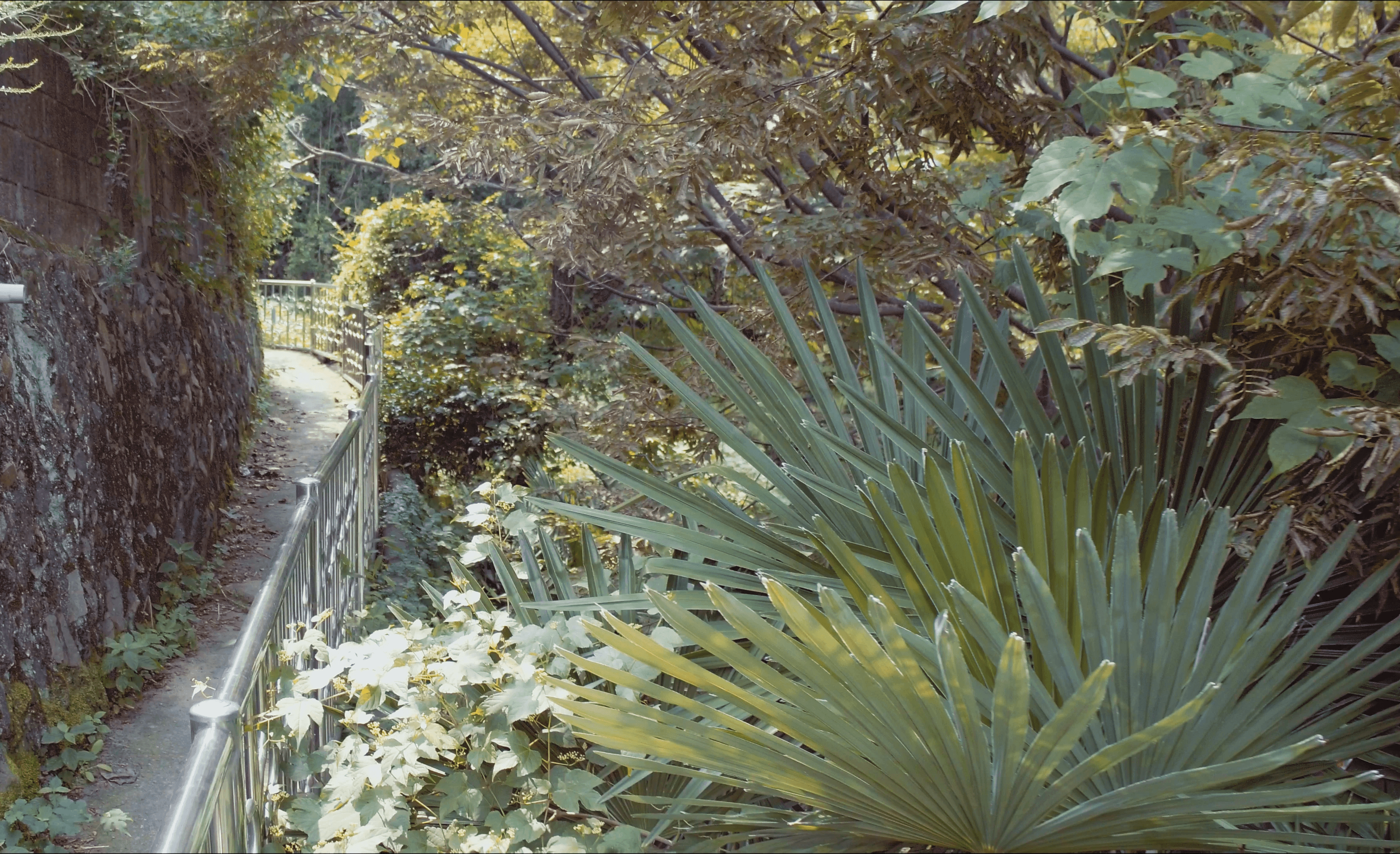 Sunlight casting shadows through orange blinds