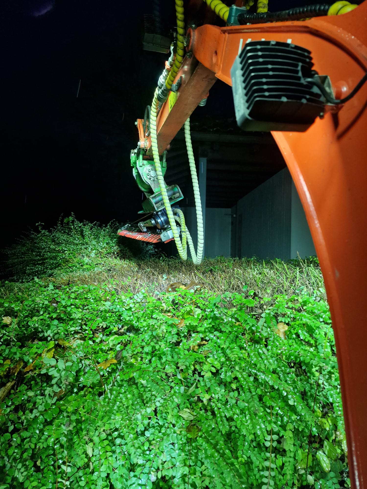 brown wooden bench under green tree during daytime